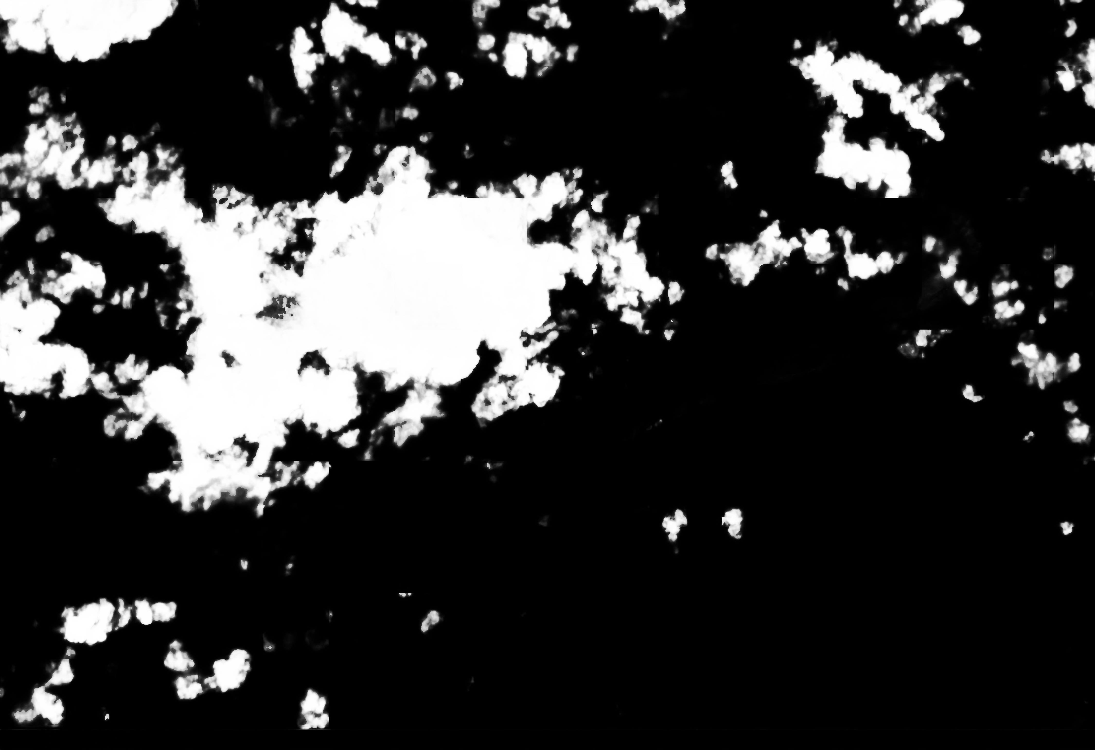 cloud mask image display 