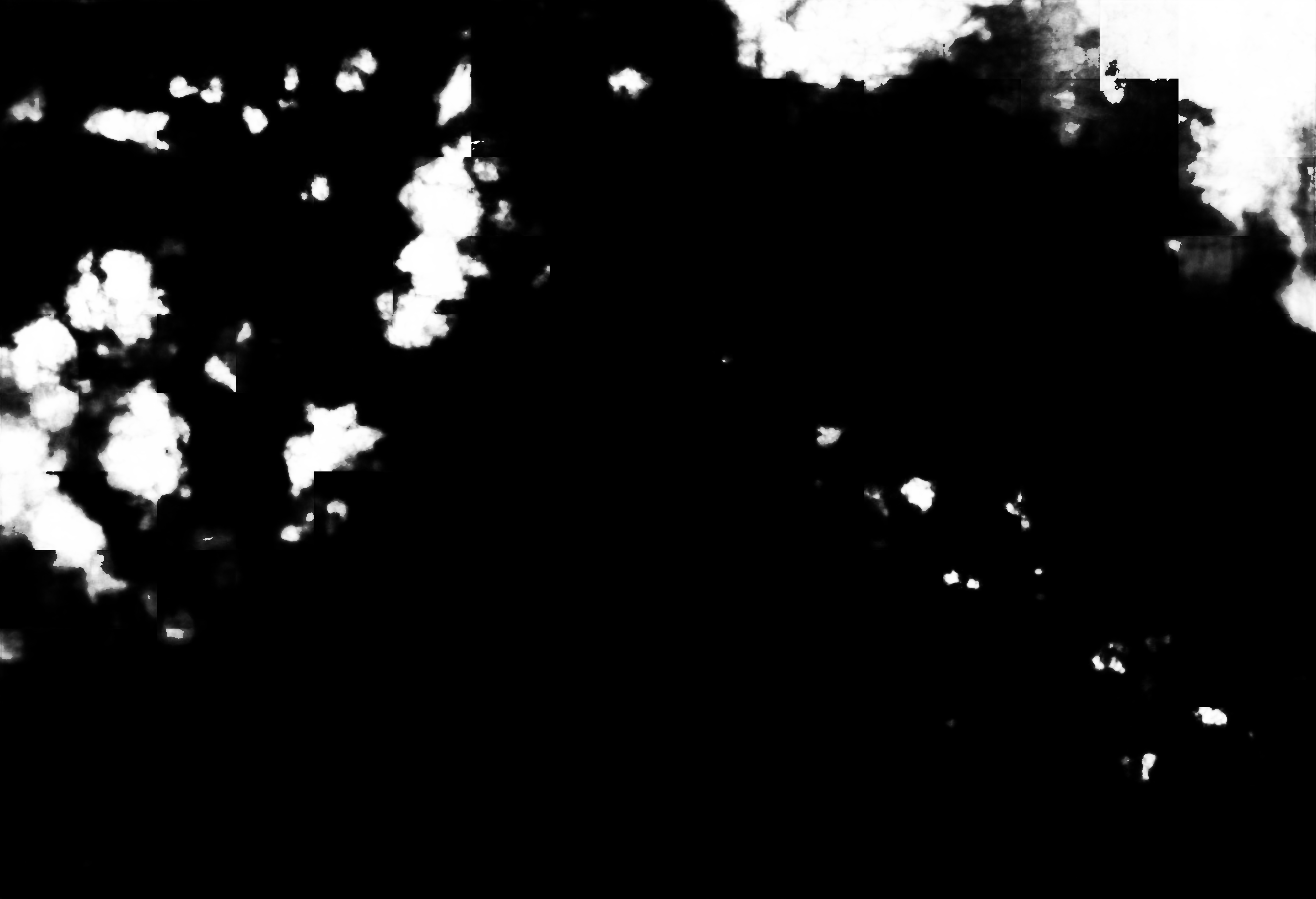 cloud mask image display 