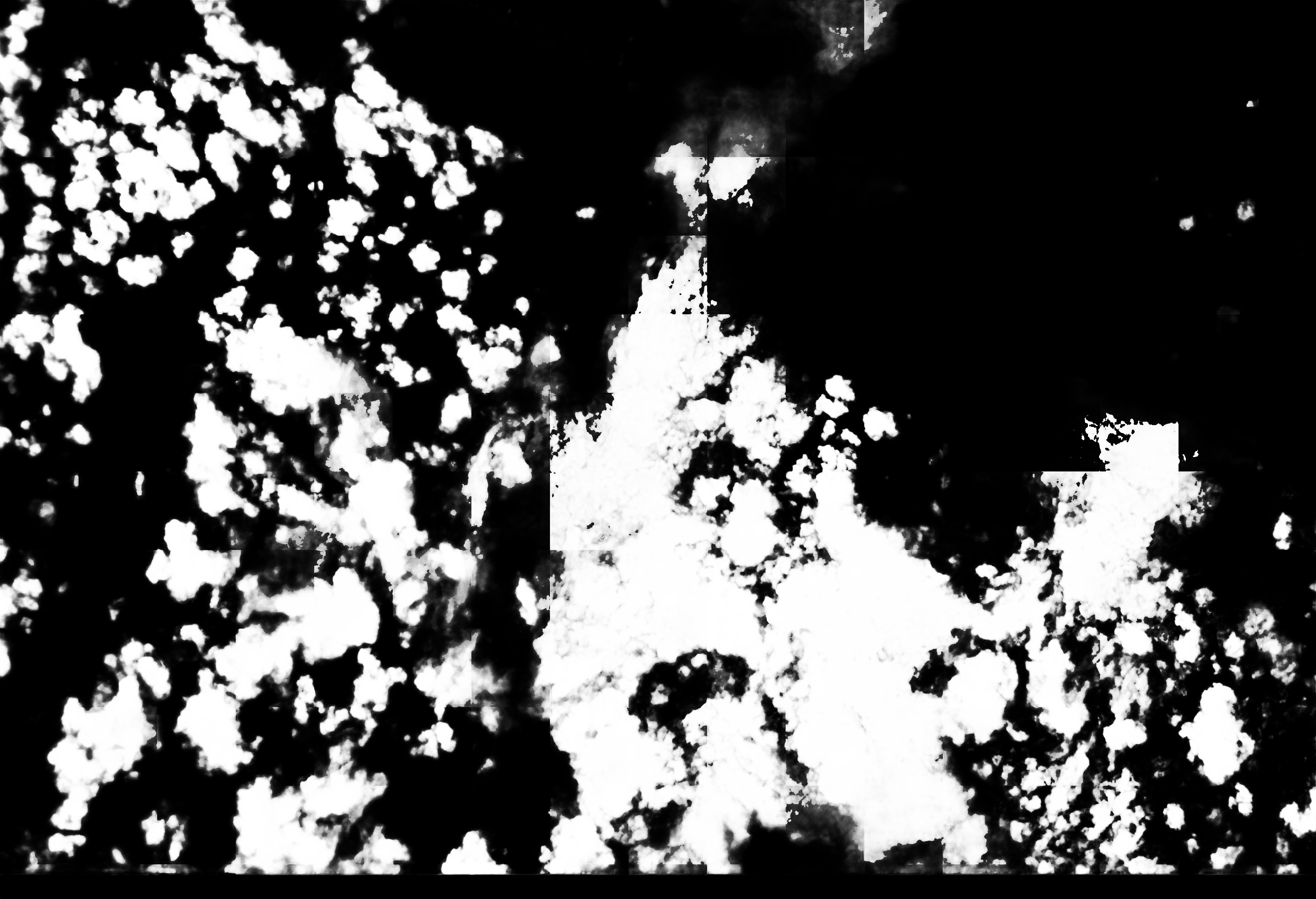 cloud mask image display 