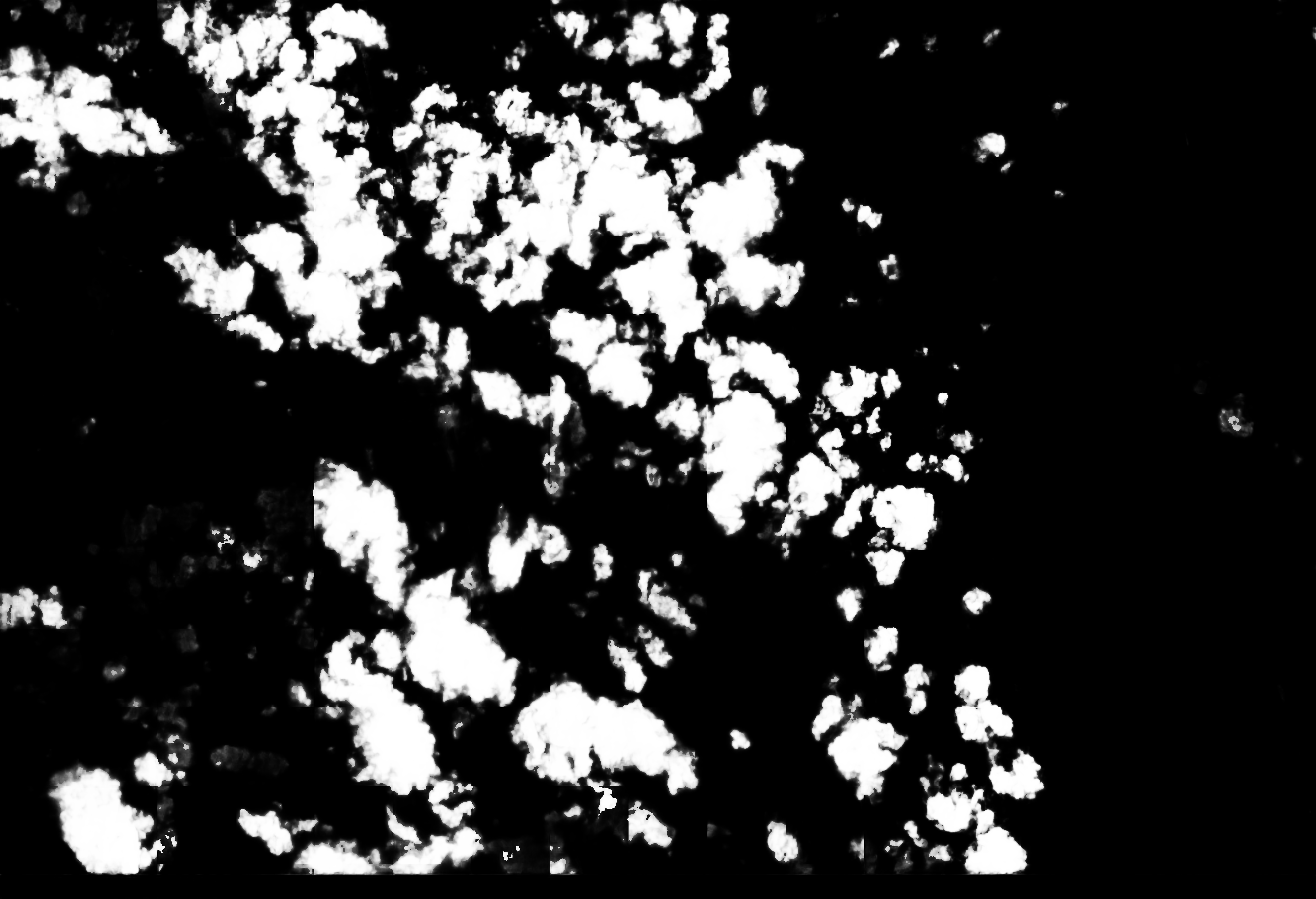 cloud mask image display 