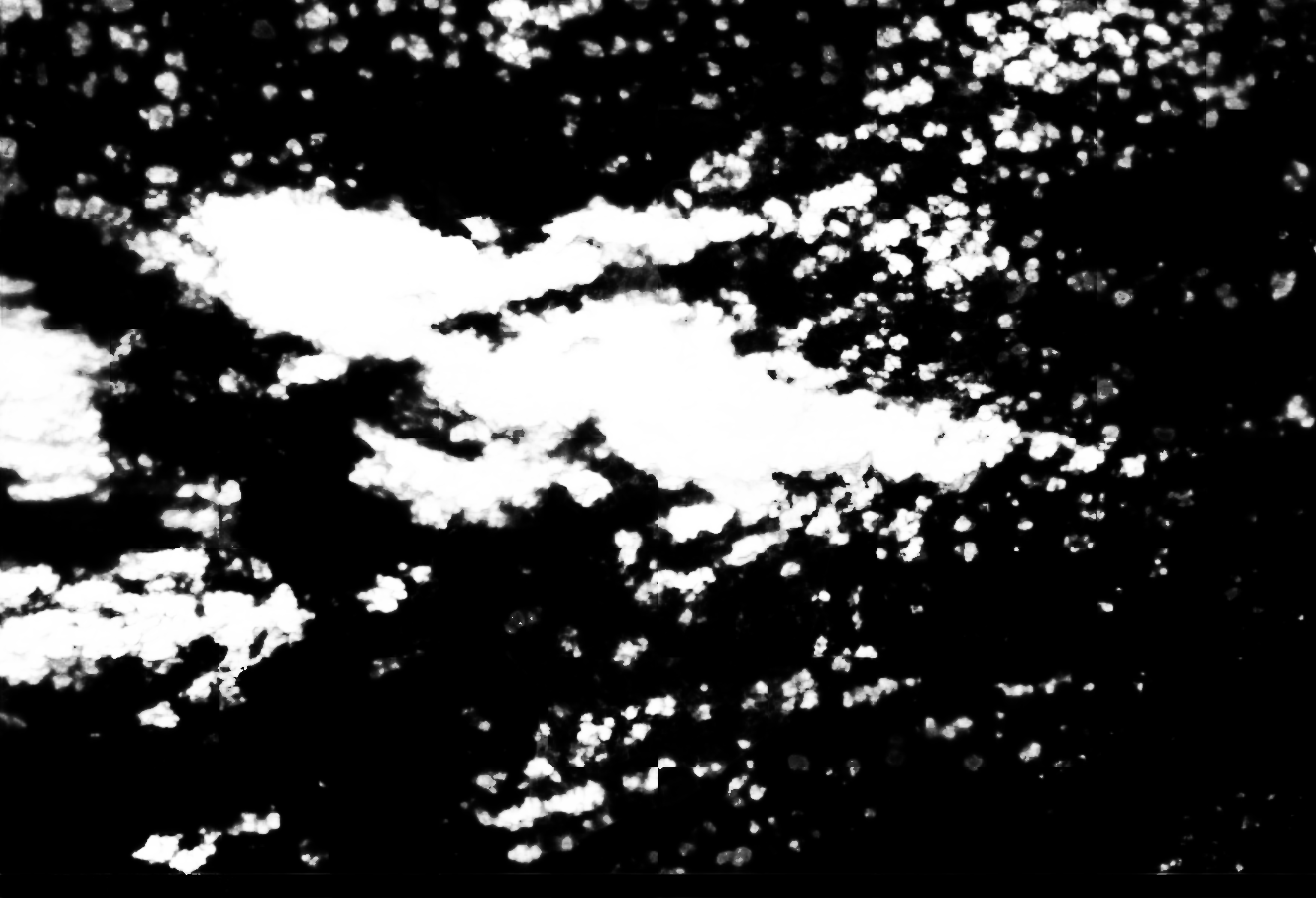 cloud mask image display 