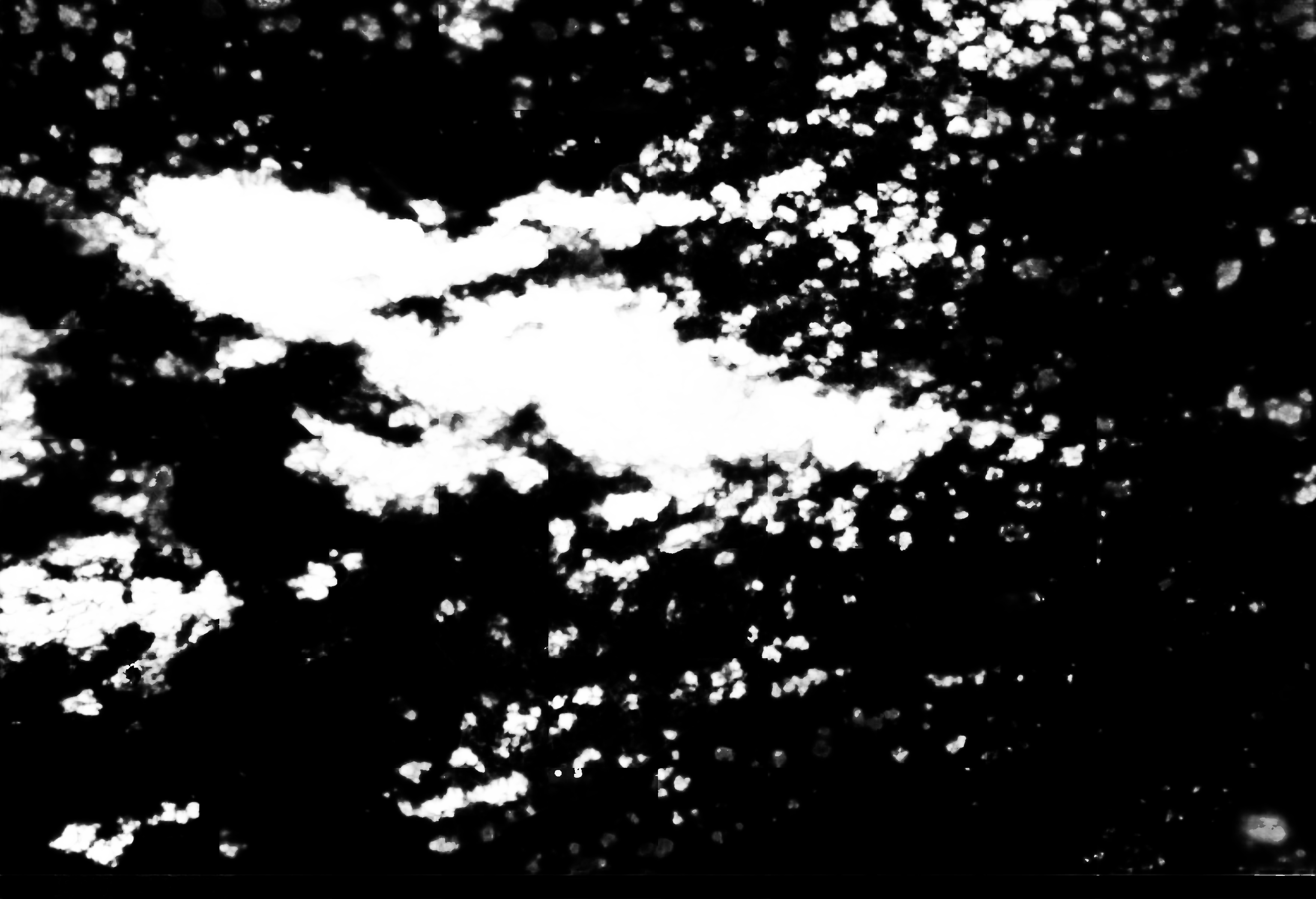 cloud mask image display 