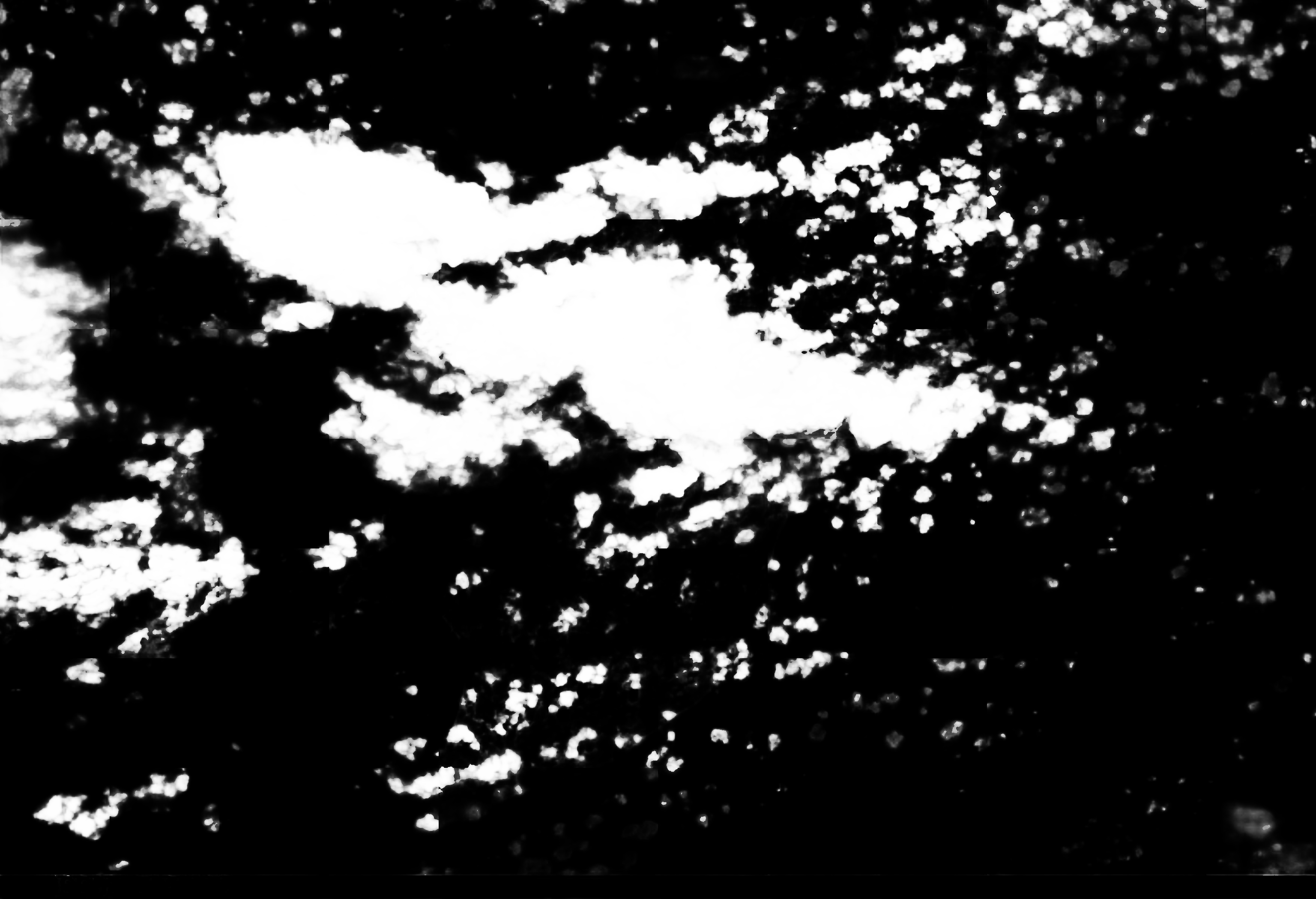 cloud mask image display 