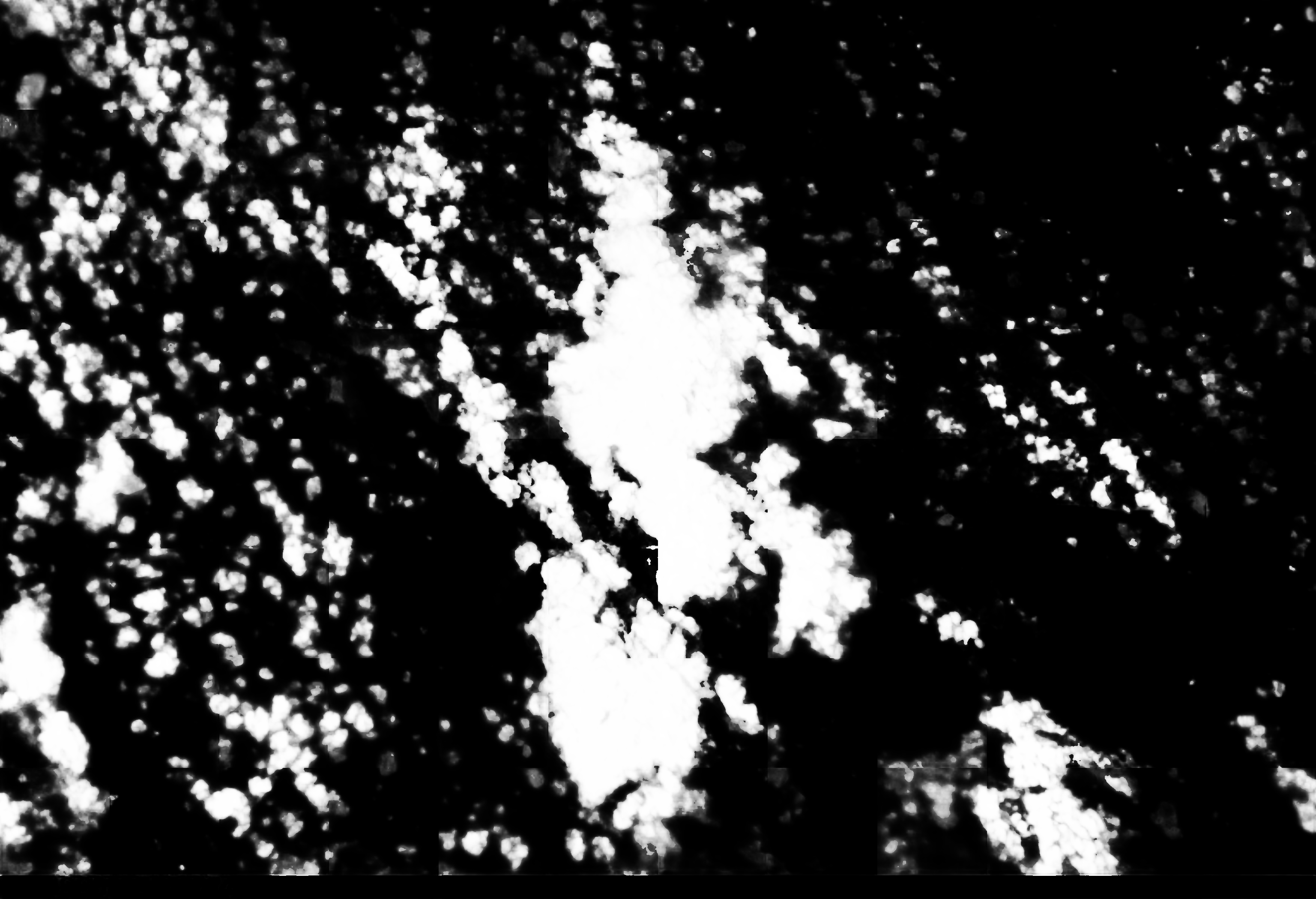 cloud mask image display 