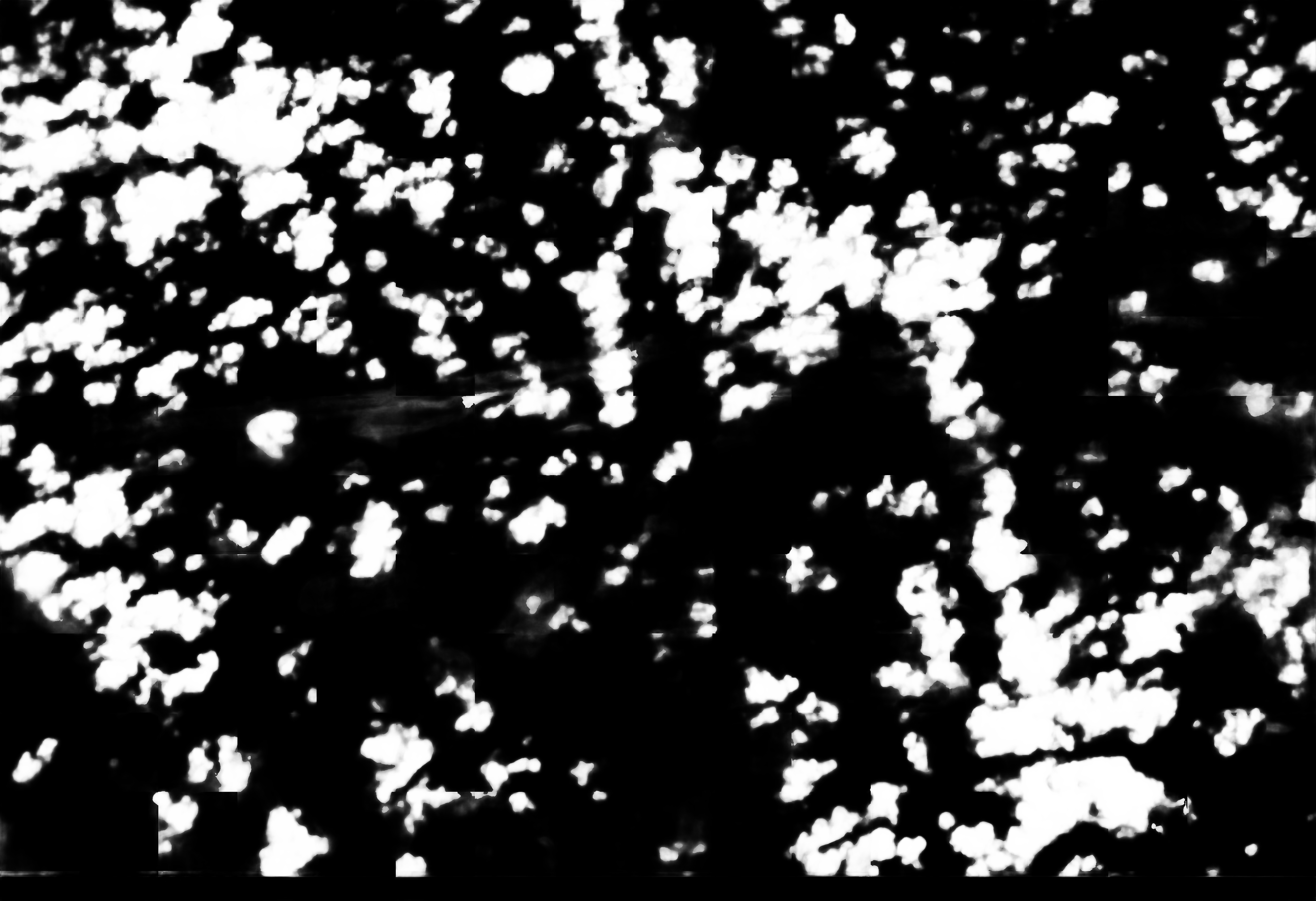 cloud mask image display 