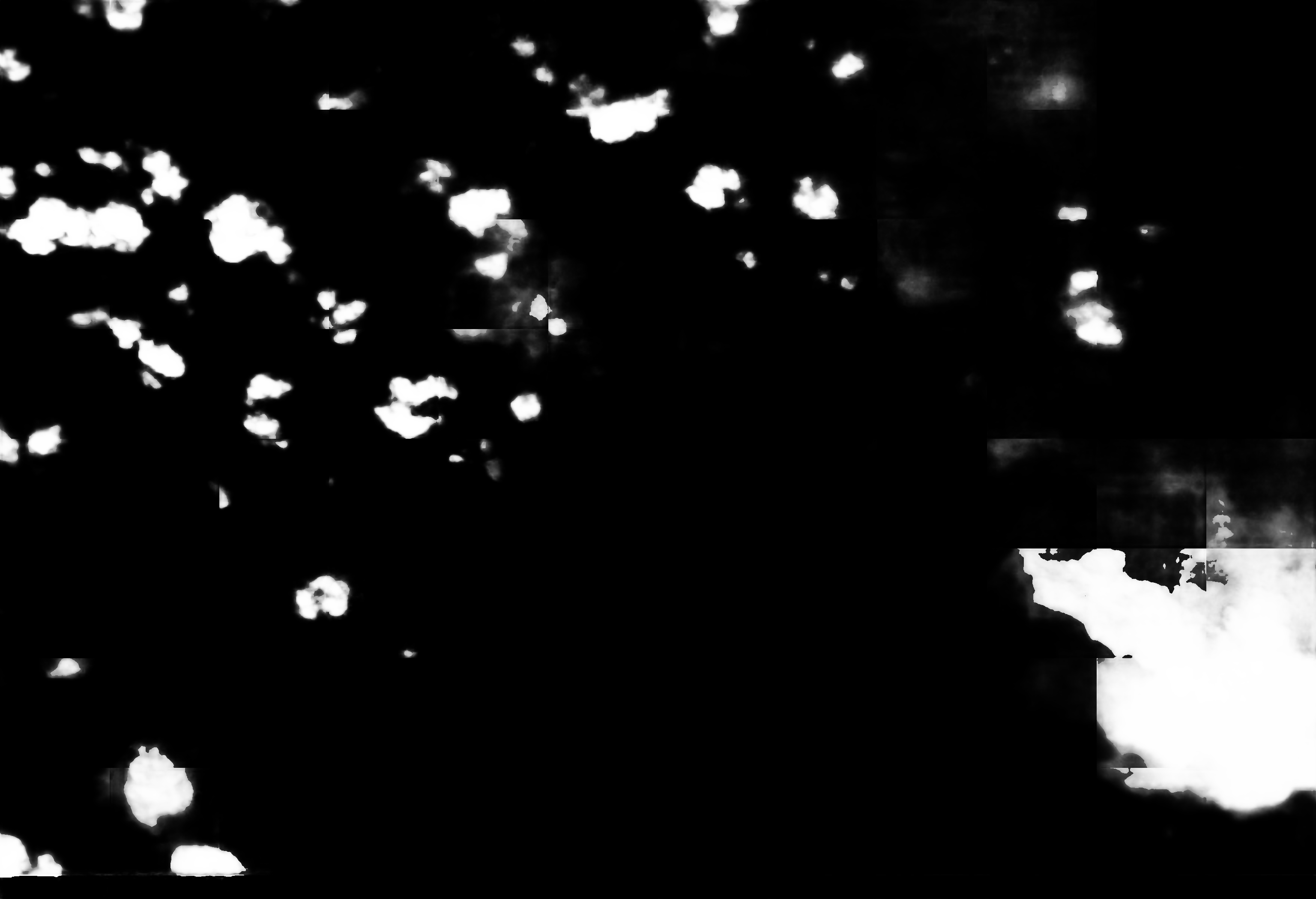 cloud mask image display 