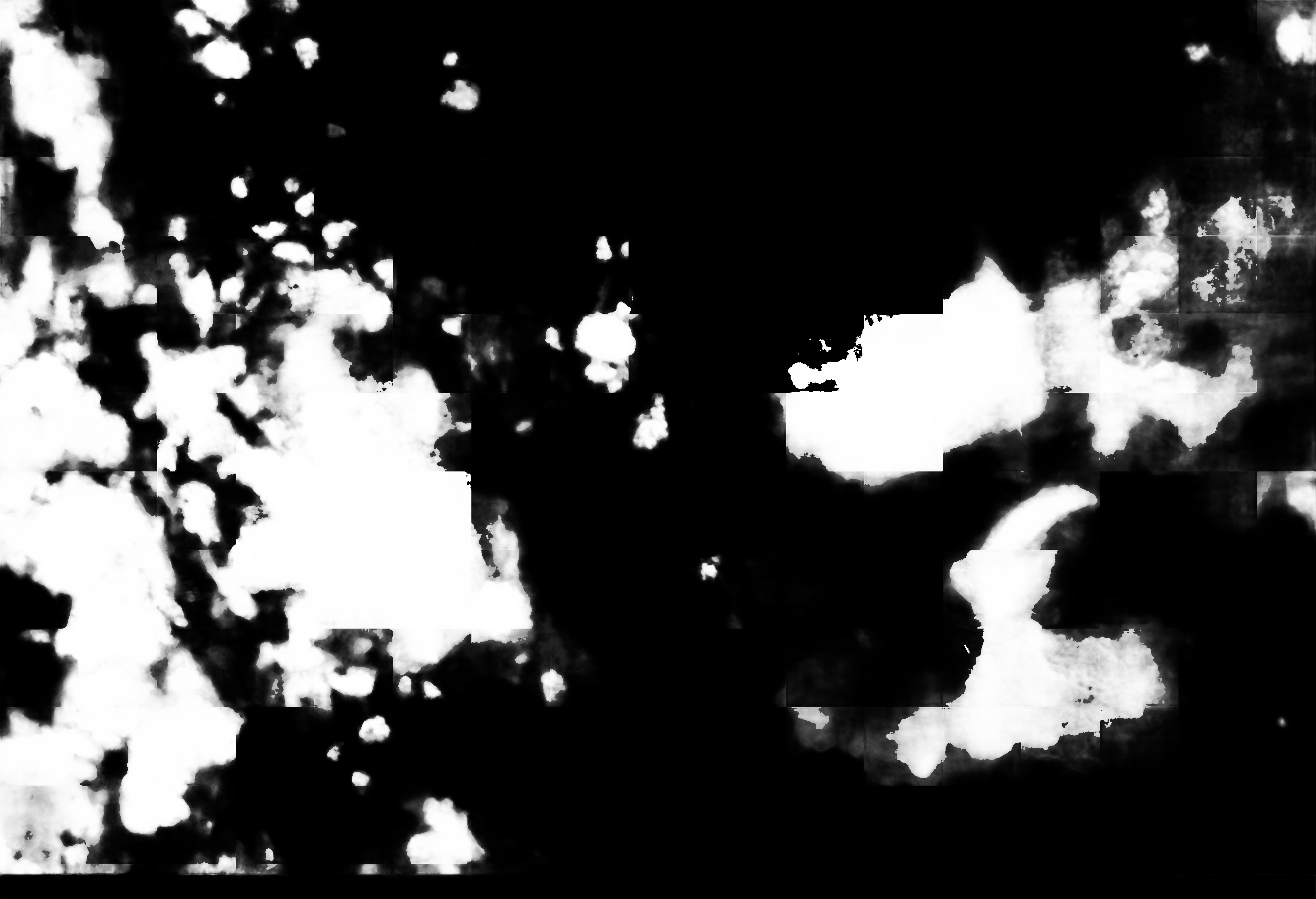 cloud mask image display 