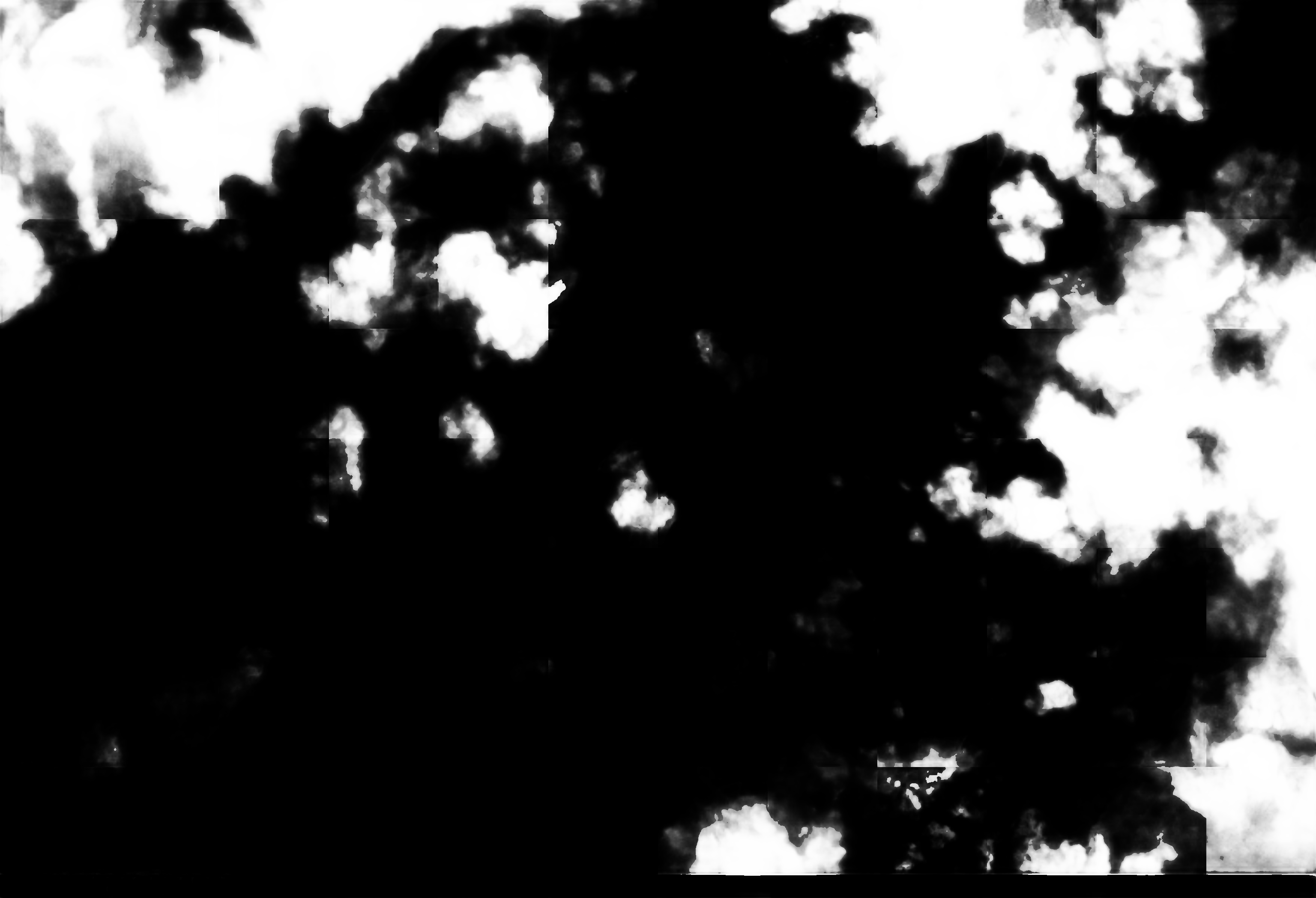 cloud mask image display 