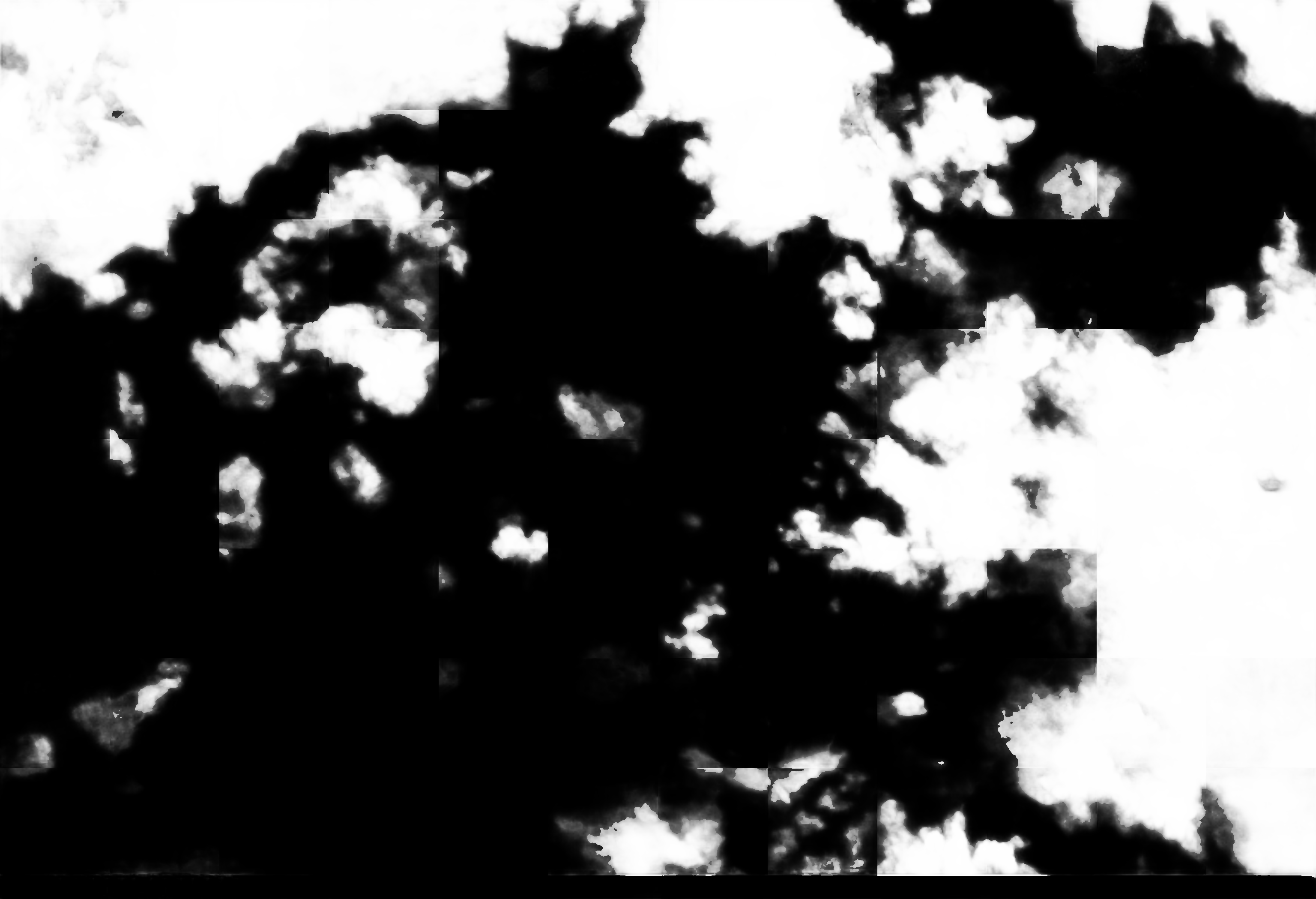 cloud mask image display 