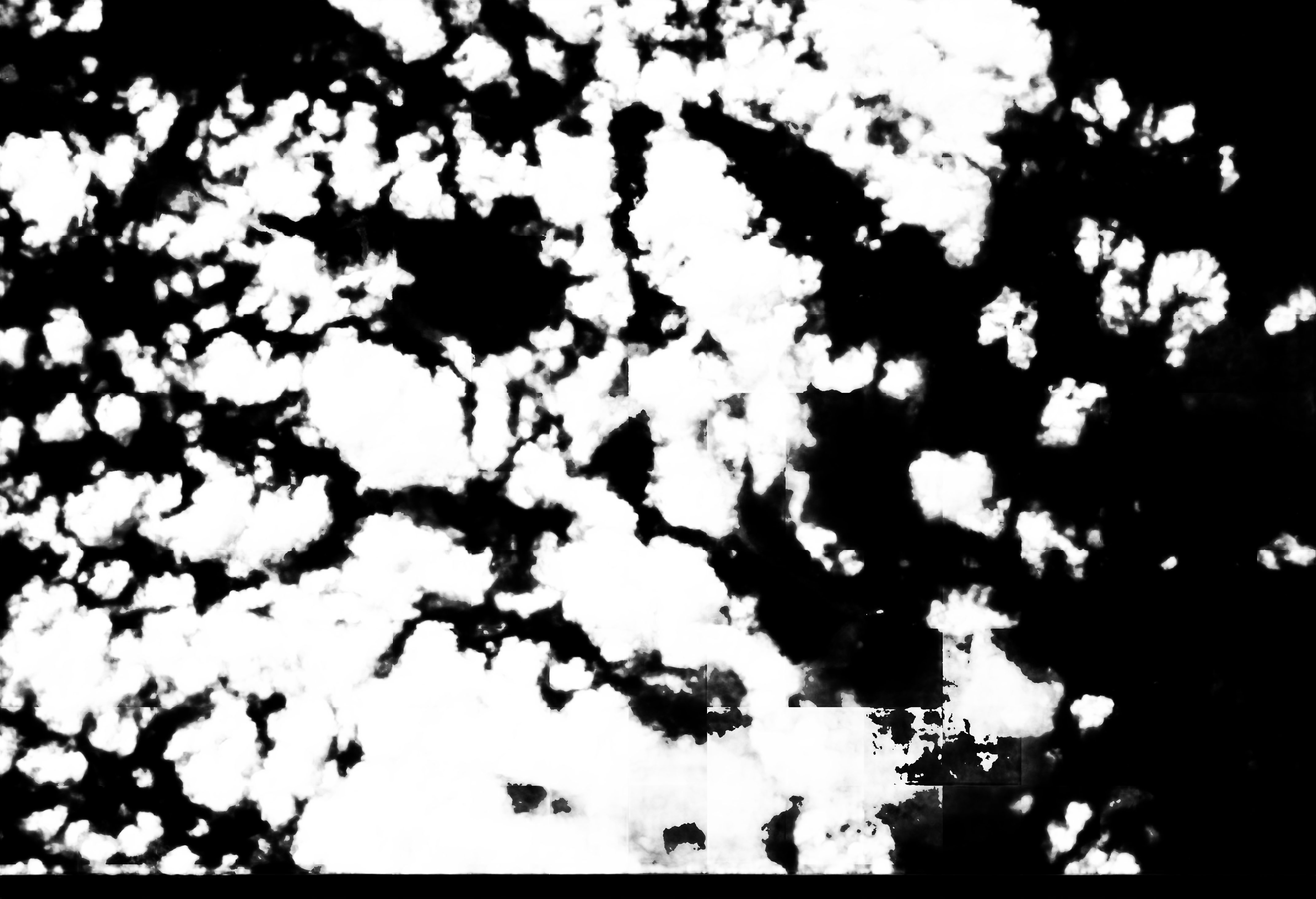 cloud mask image display 