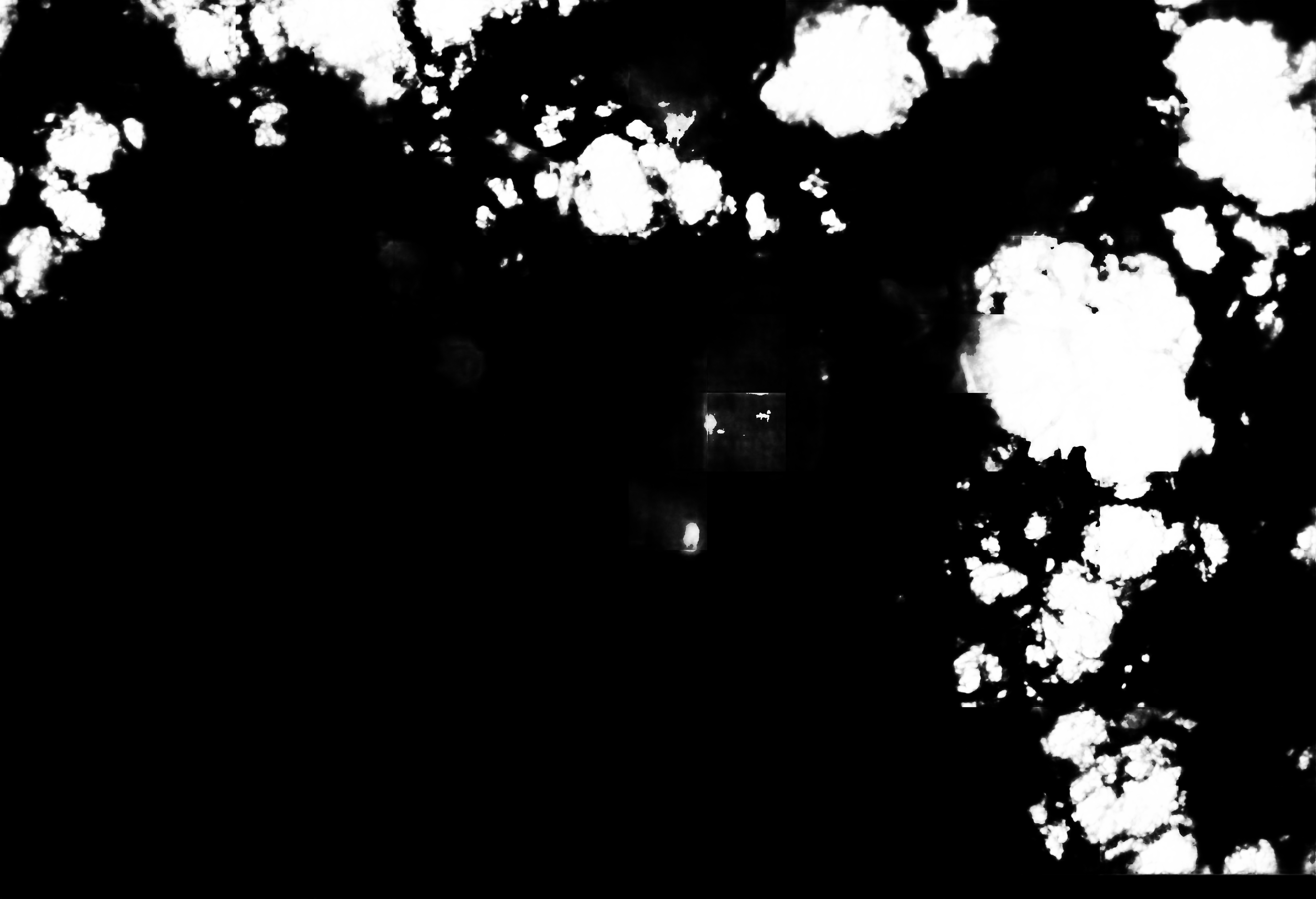 cloud mask image display 