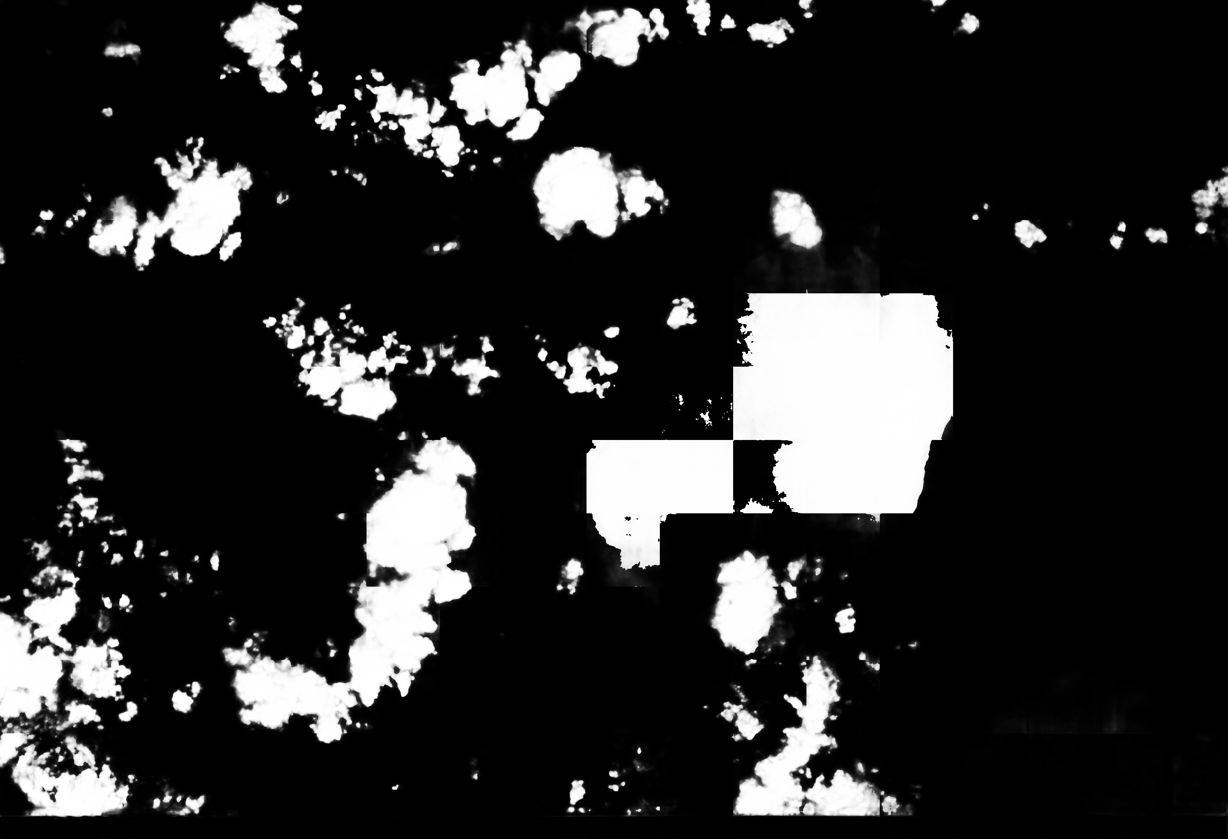 cloud mask image display 