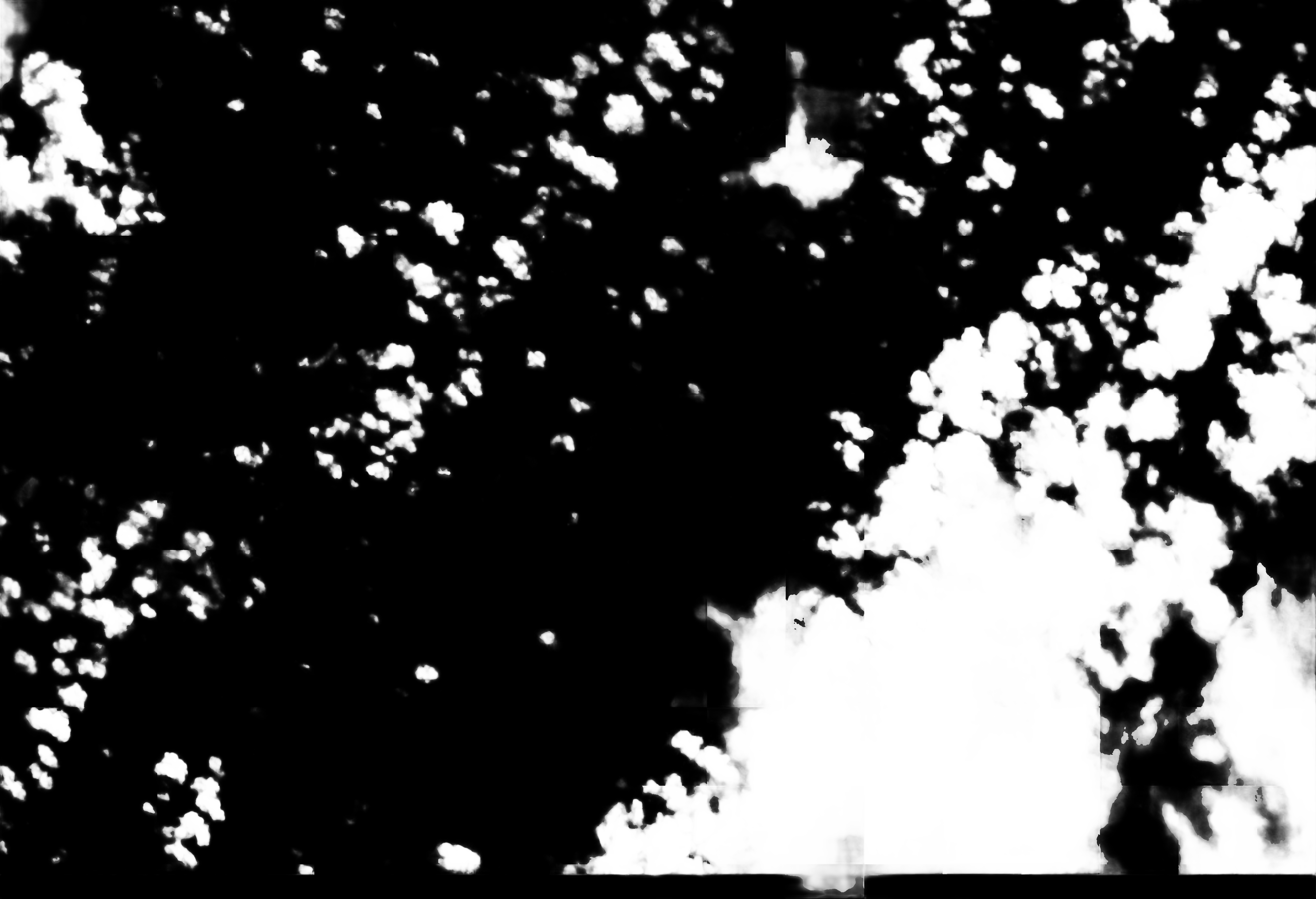 cloud mask image display 