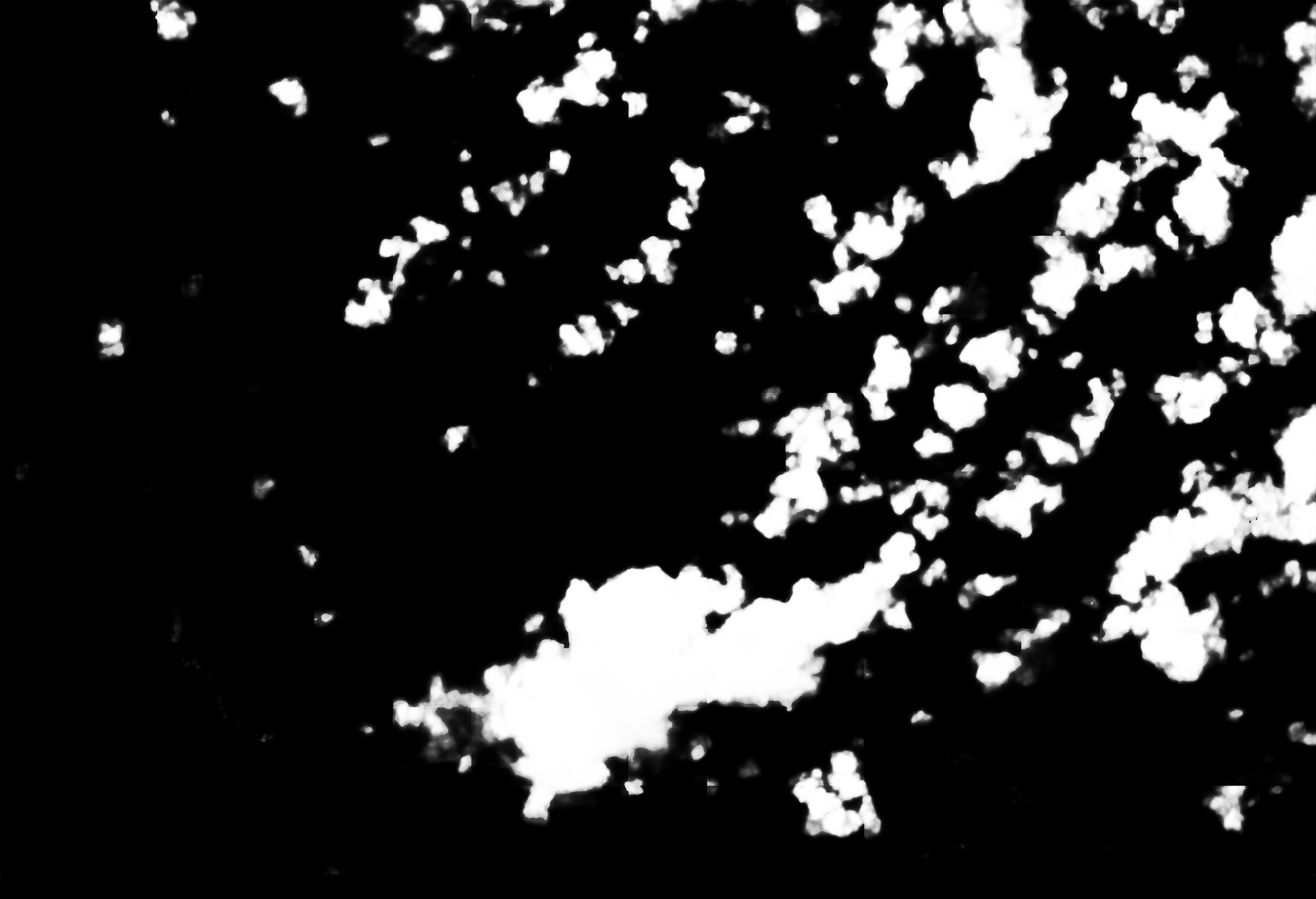 cloud mask image display 