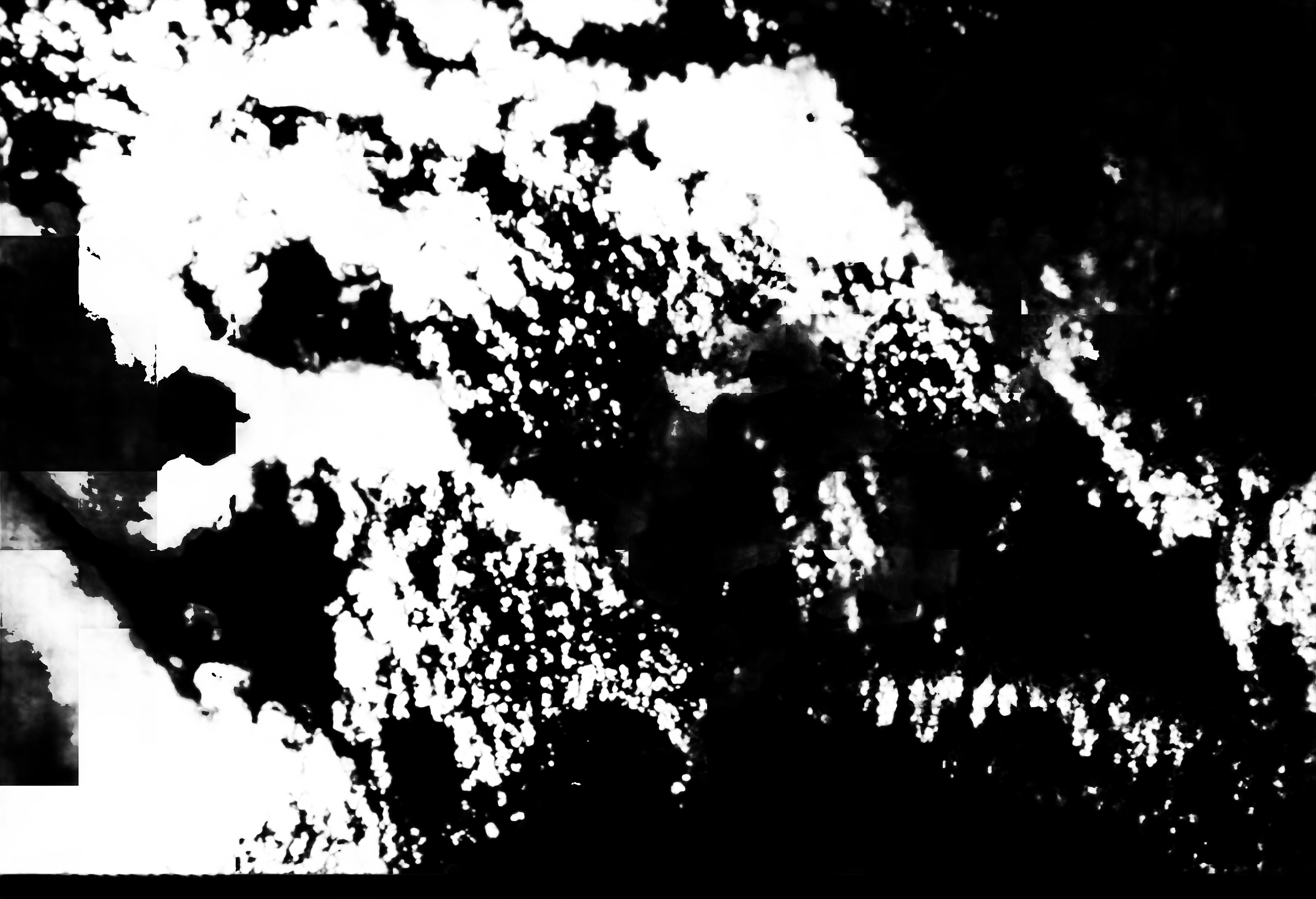 cloud mask image display 