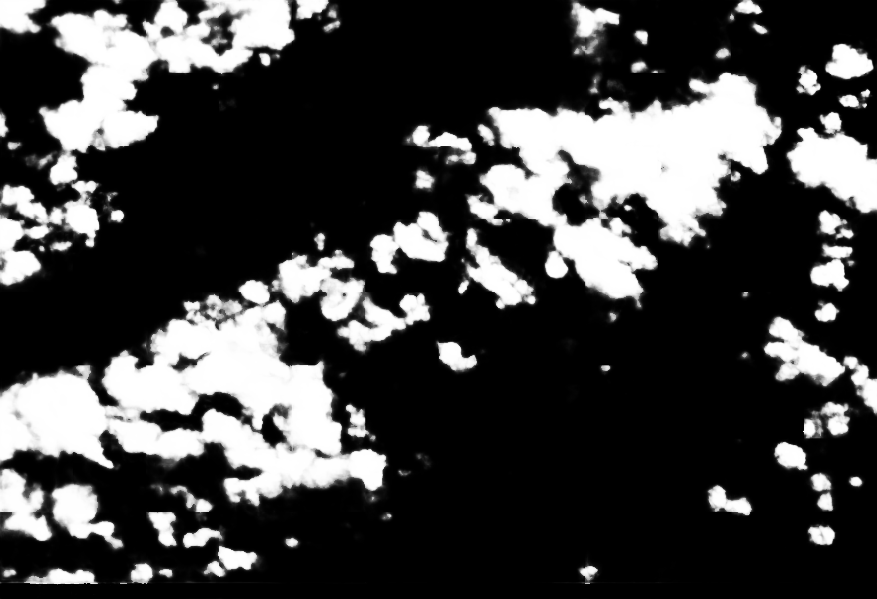 cloud mask image display 