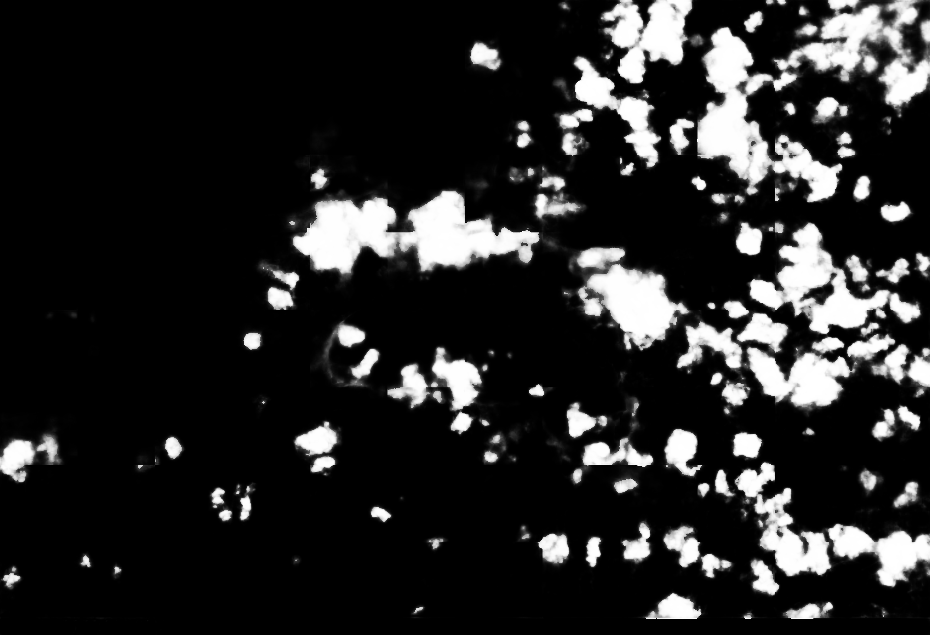 cloud mask image display 