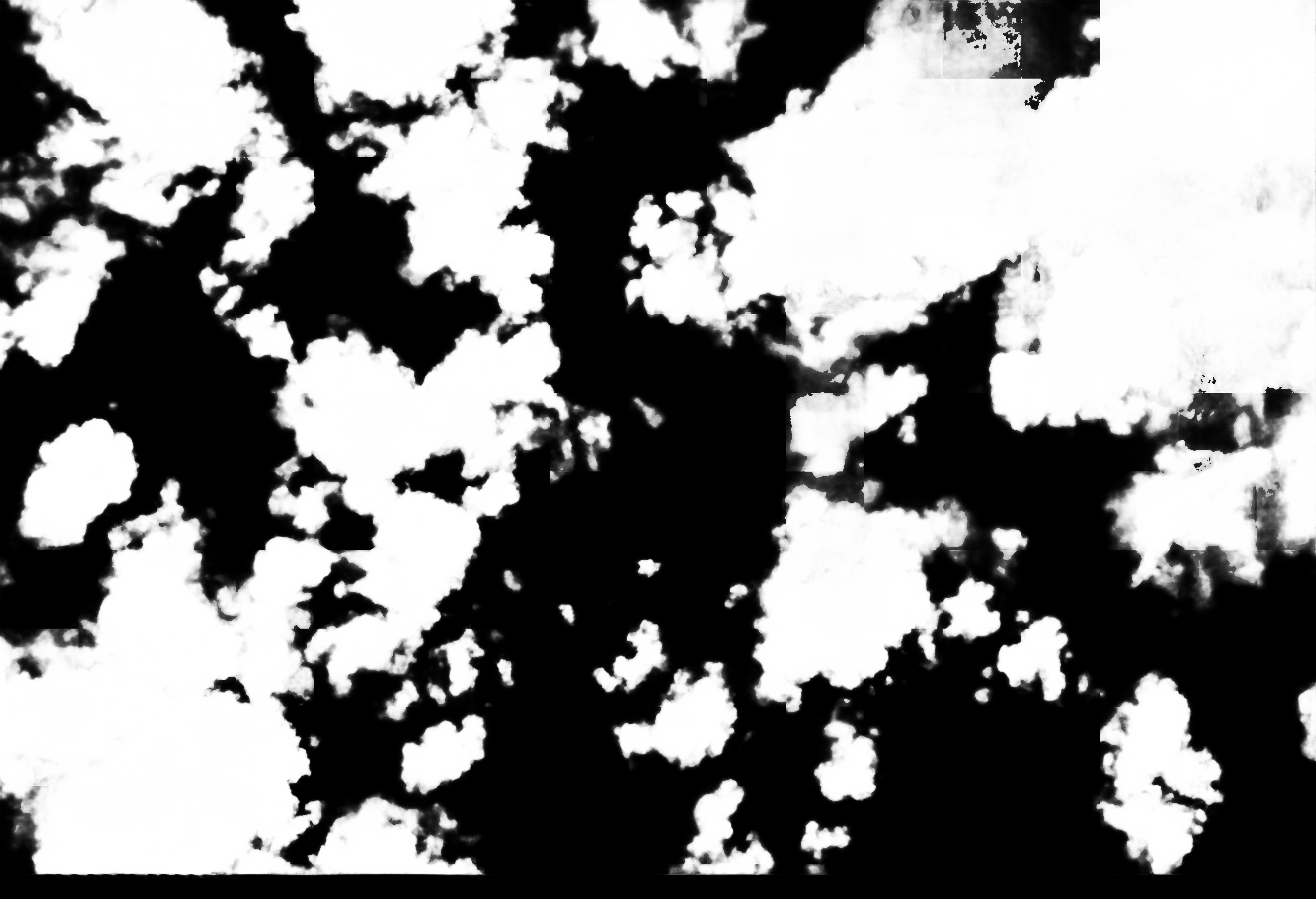 cloud mask image display 