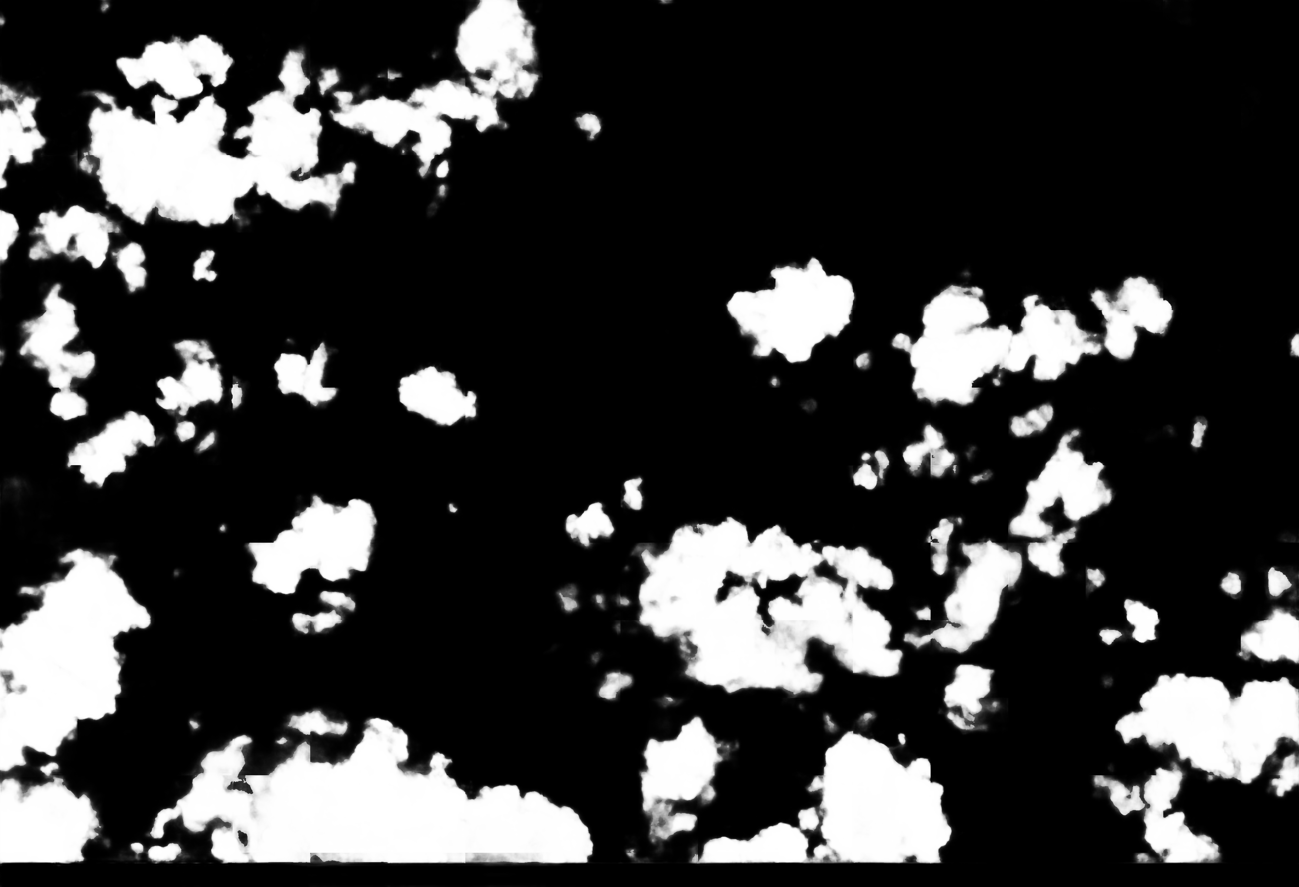 cloud mask image display 