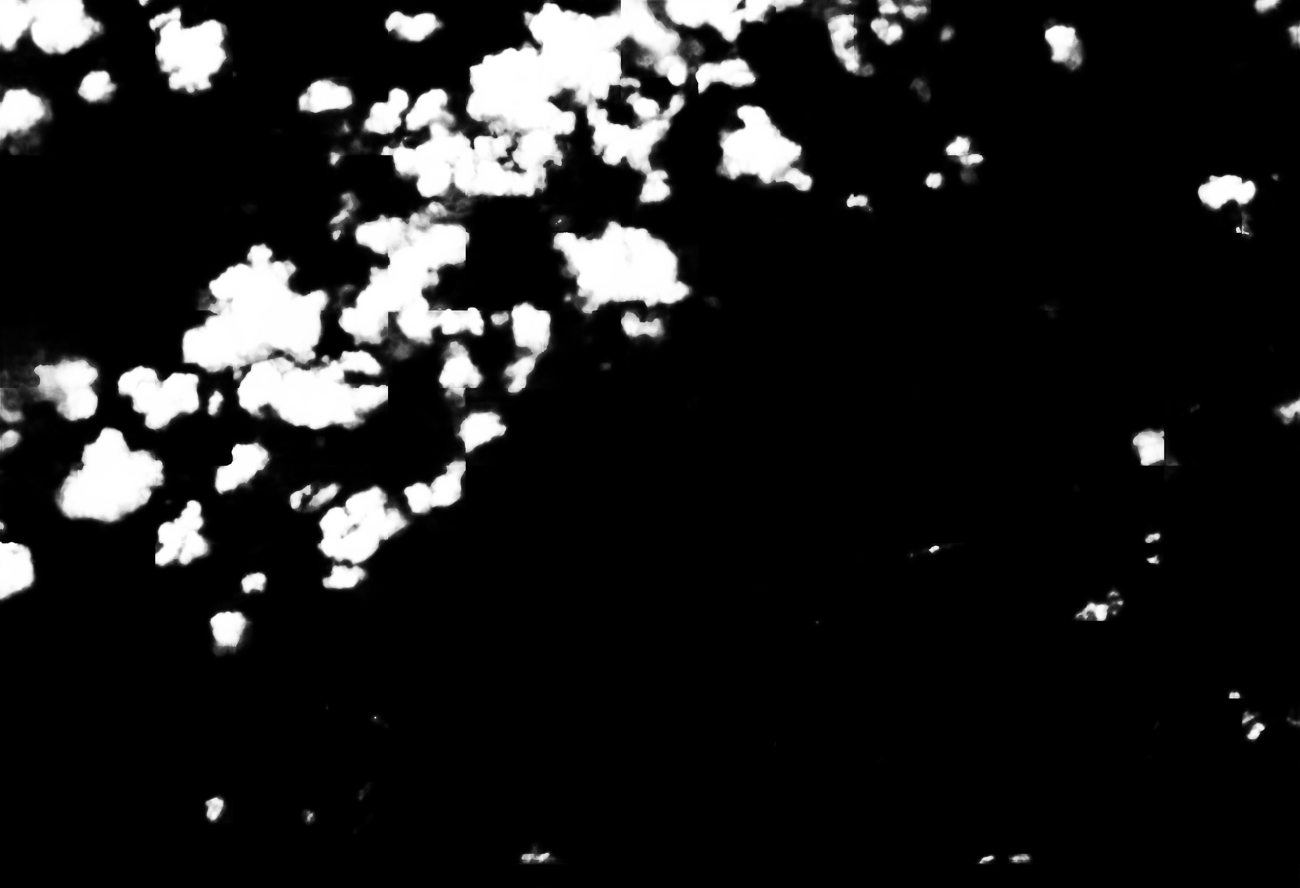 cloud mask image display 