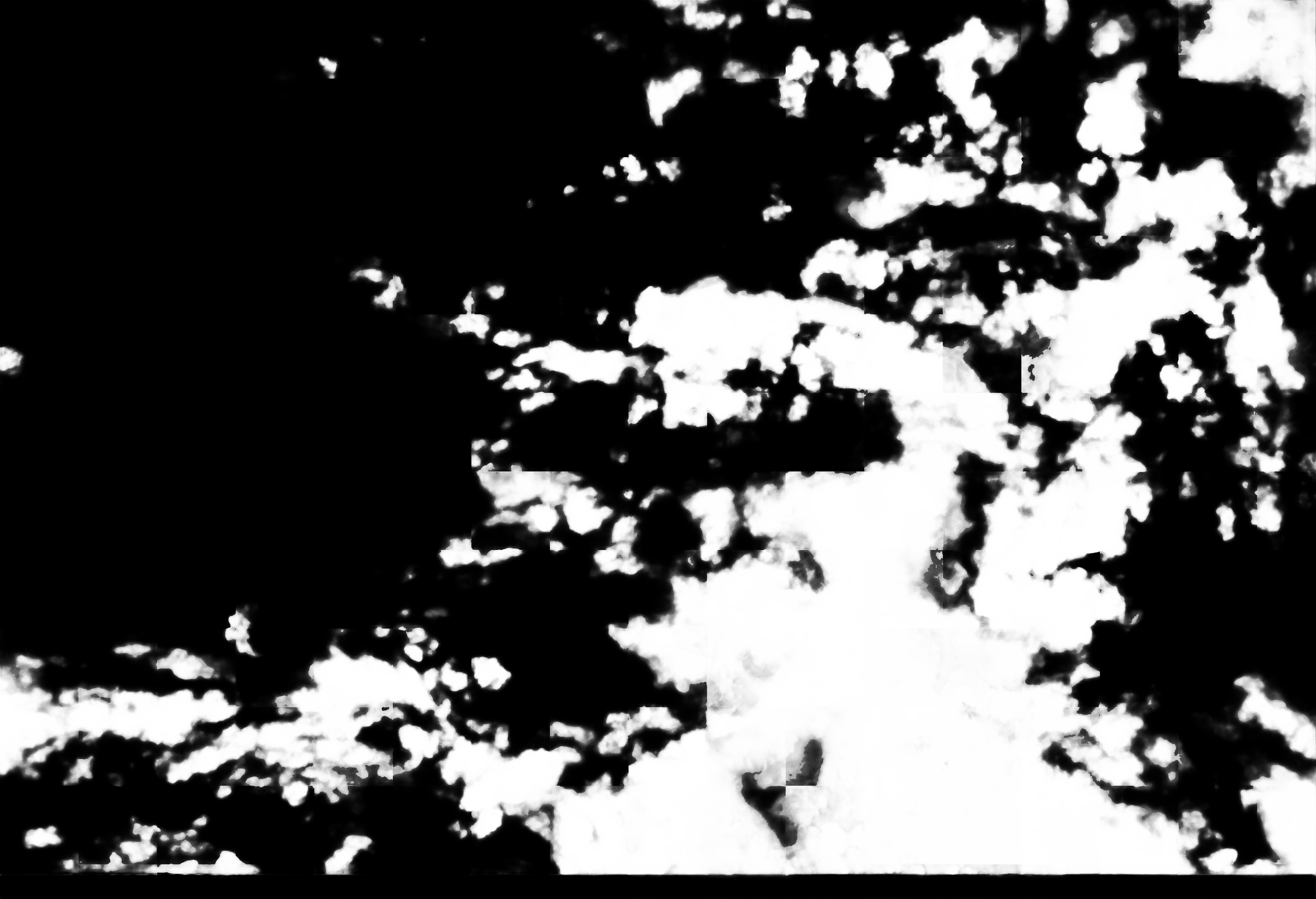 cloud mask image display 