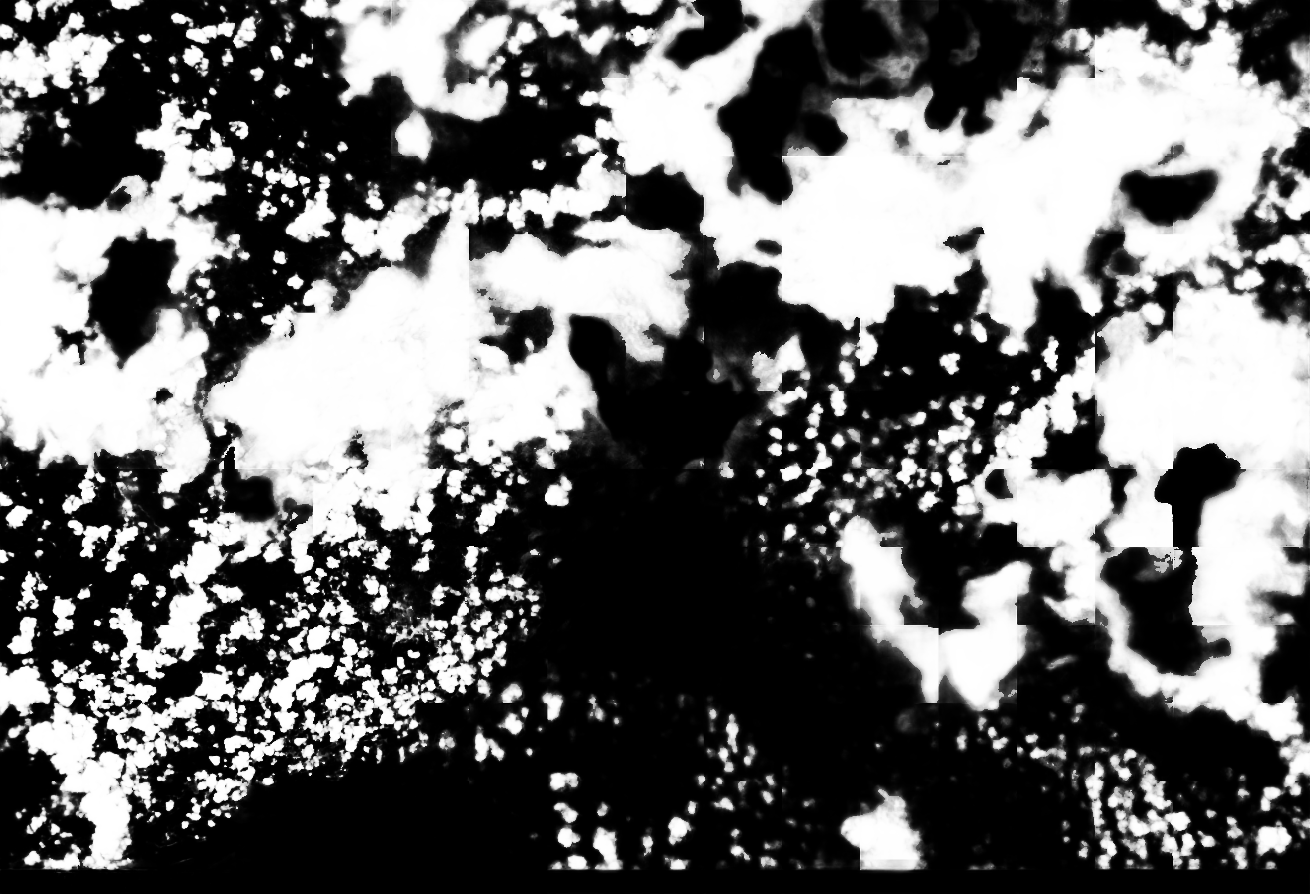 cloud mask image display 