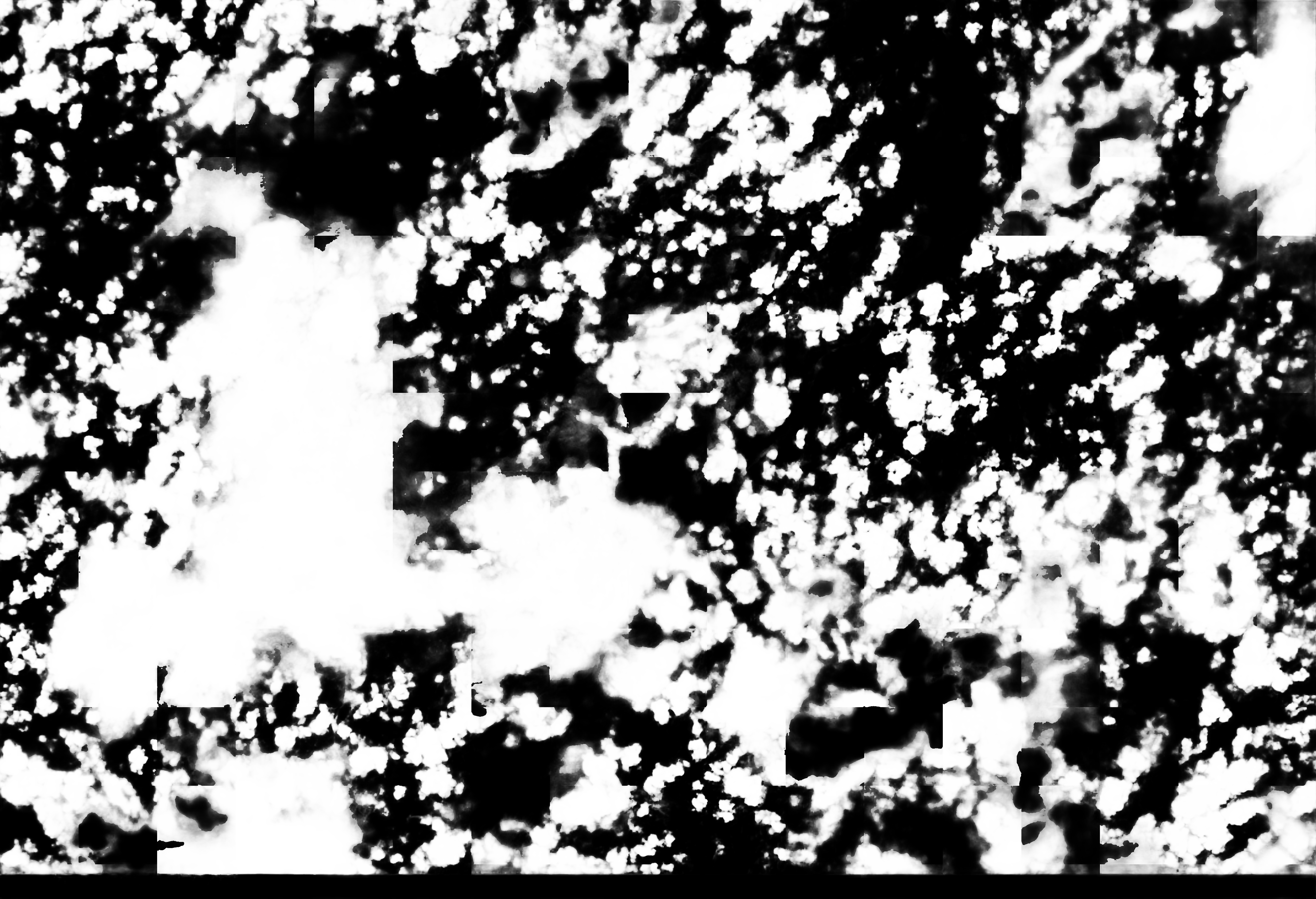 cloud mask image display 