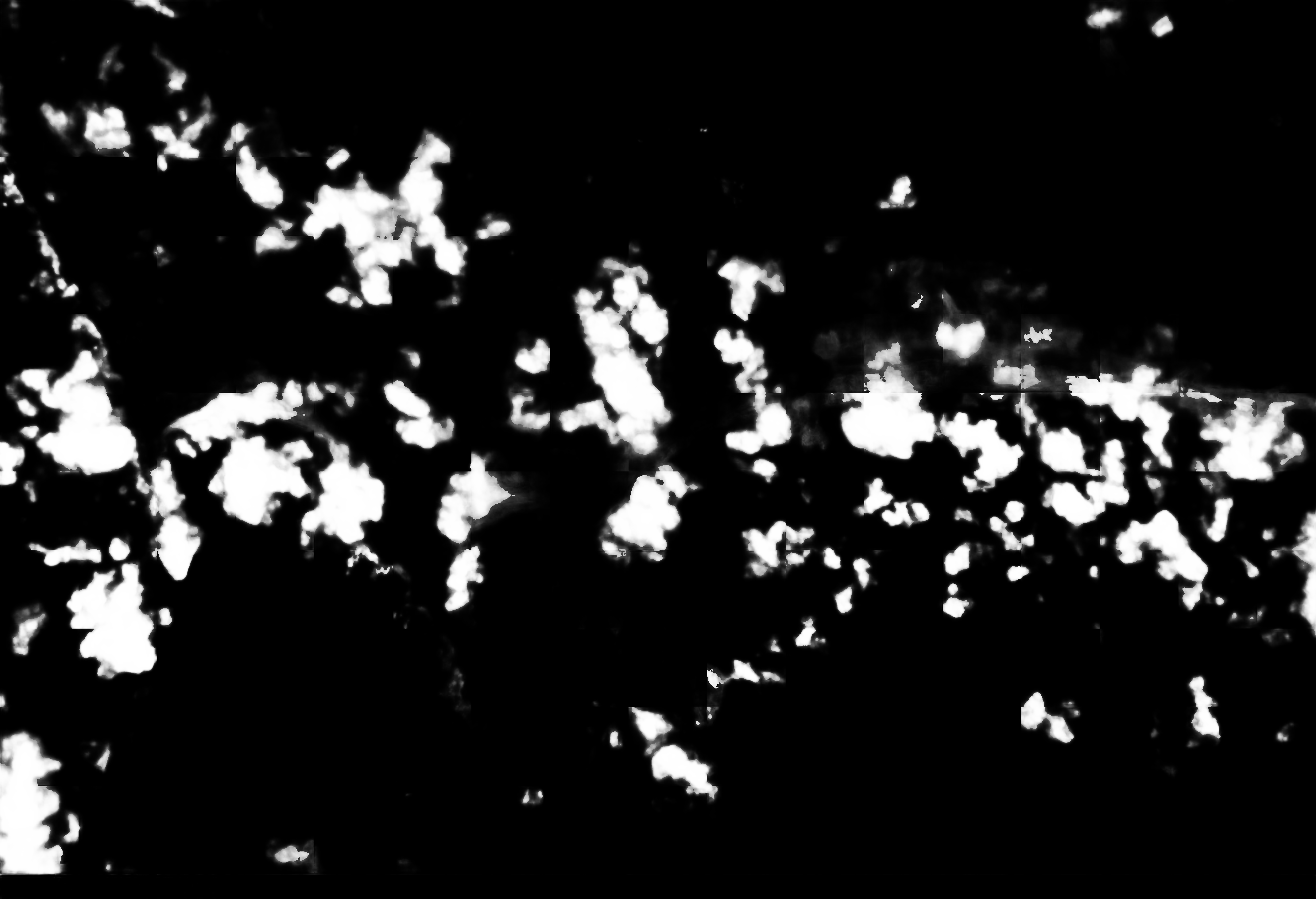 cloud mask image display 