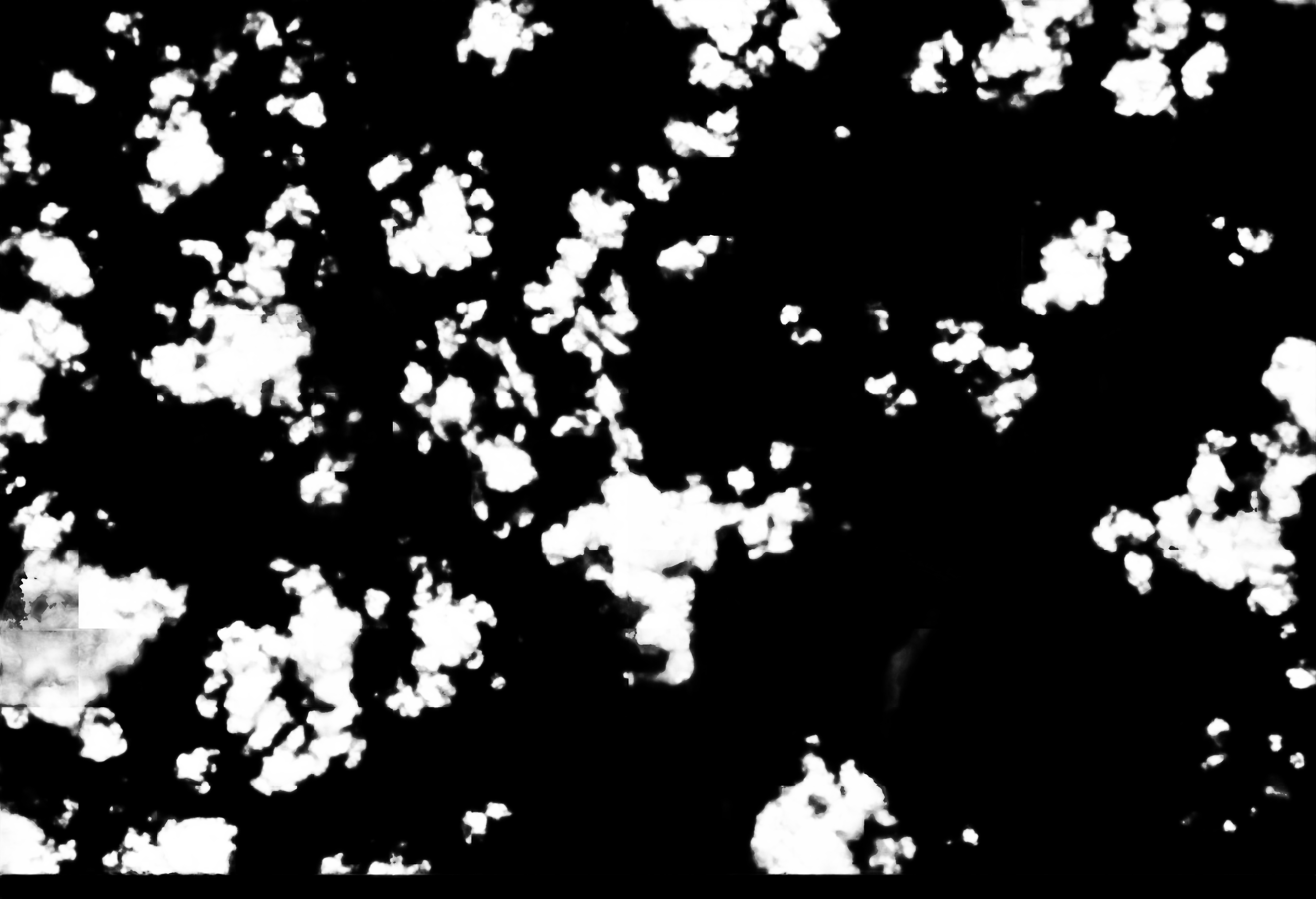 cloud mask image display 