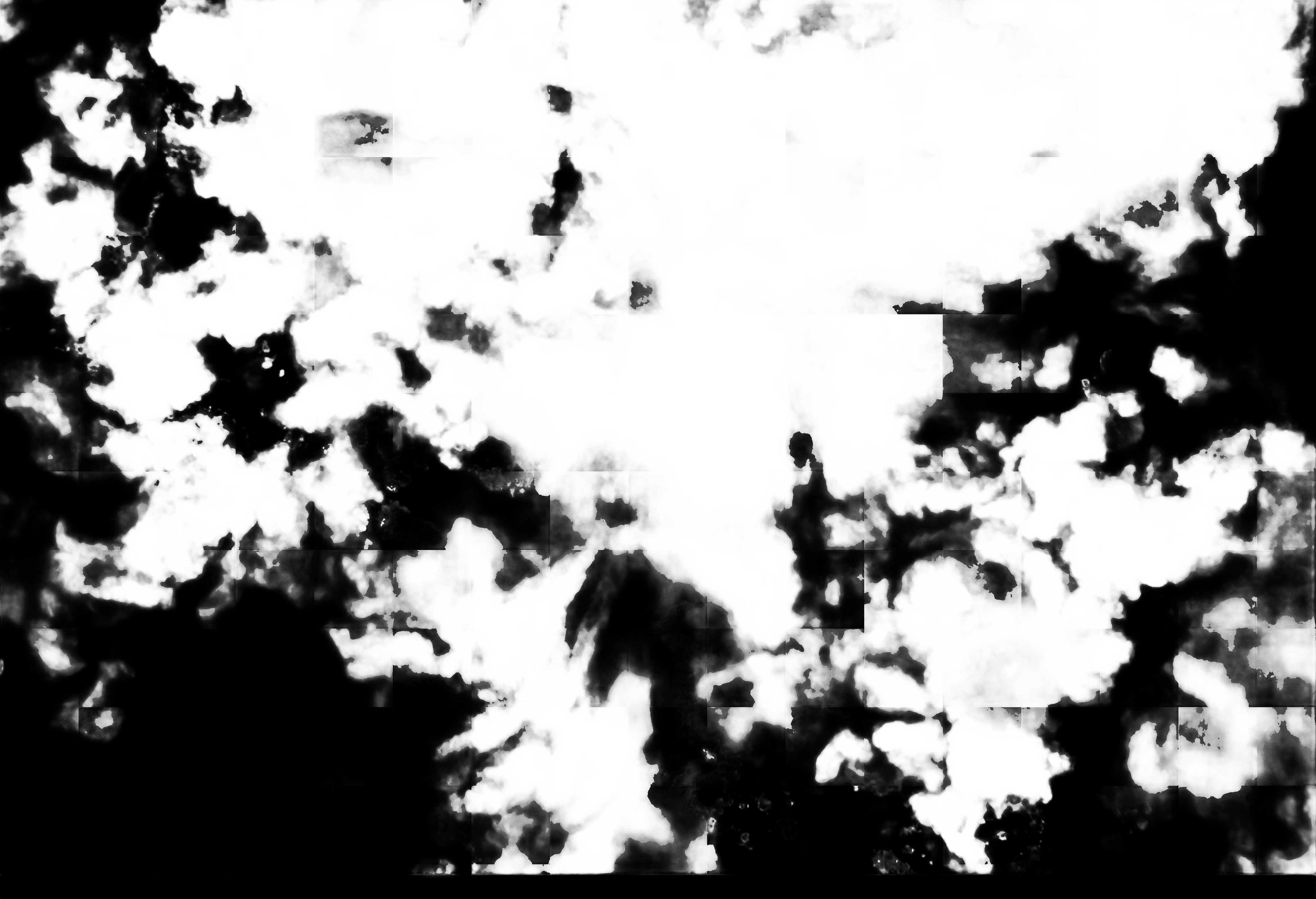 cloud mask image display 