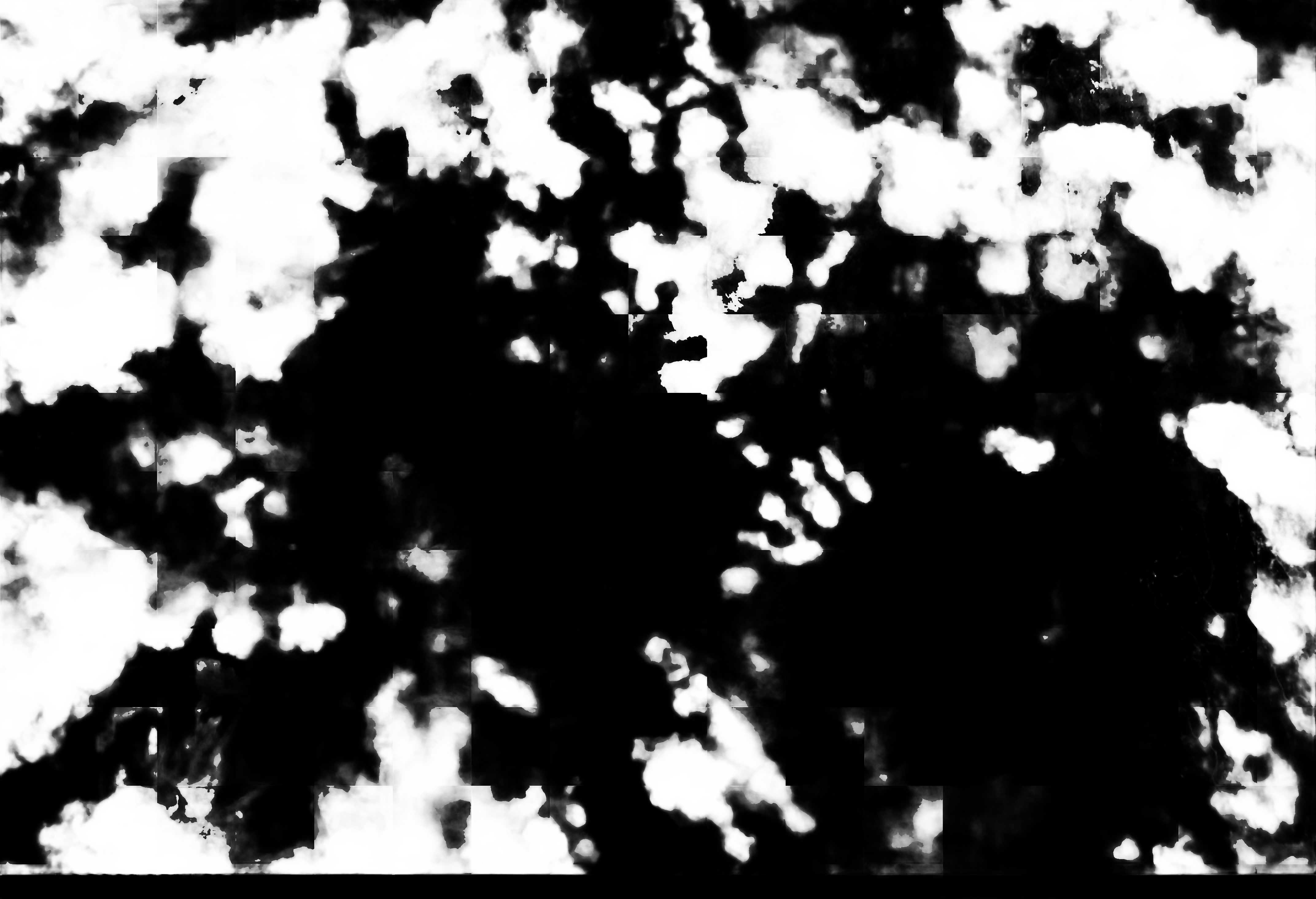 cloud mask image display 