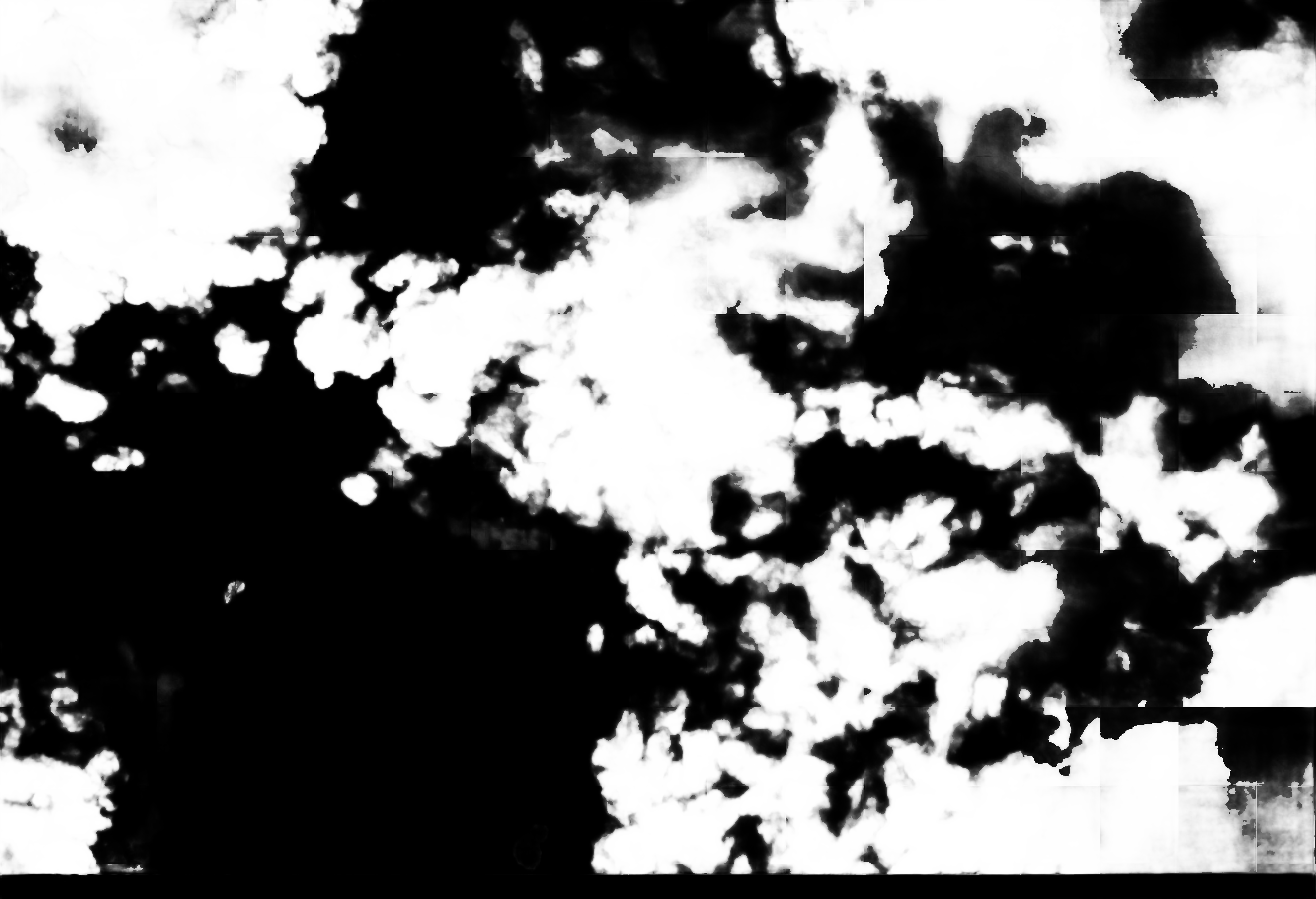 cloud mask image display 