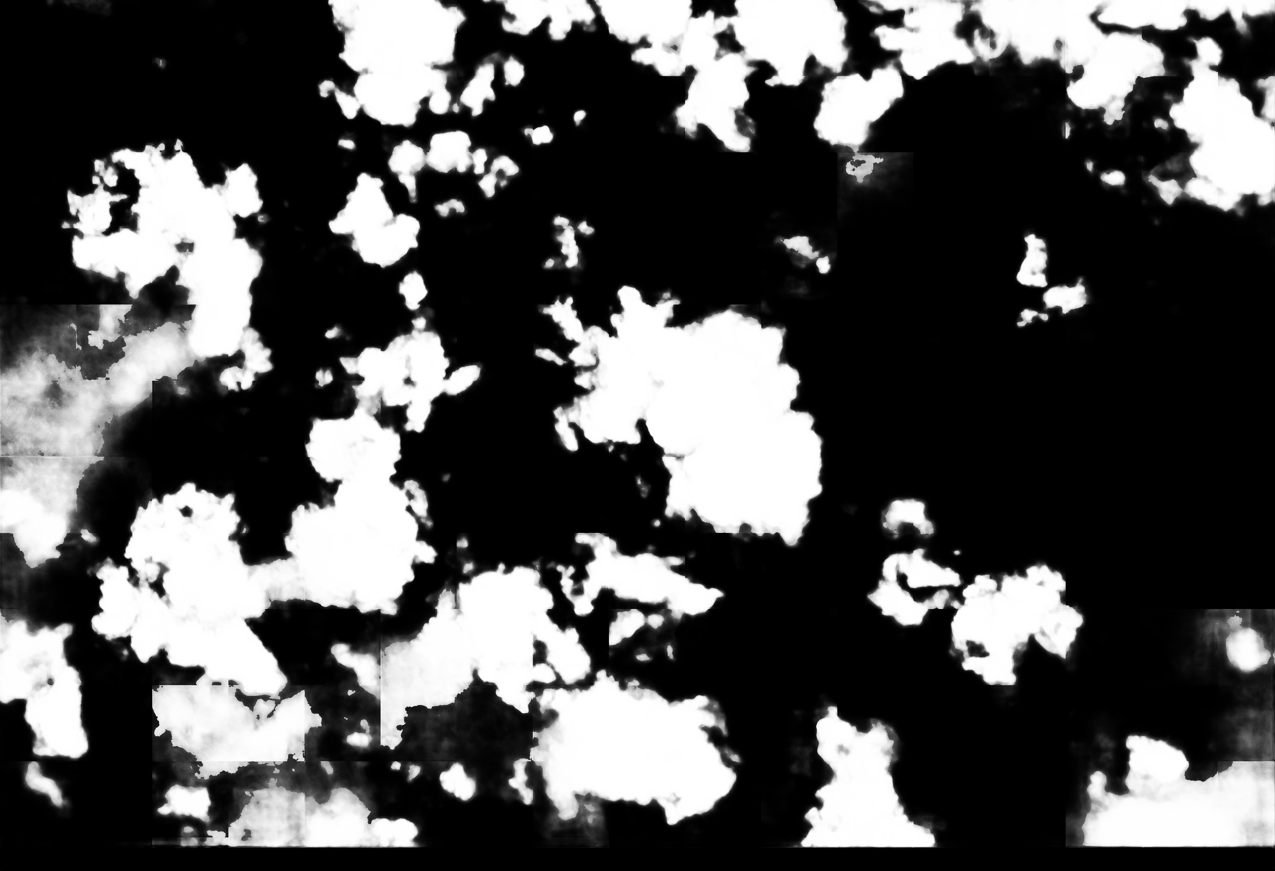 cloud mask image display 