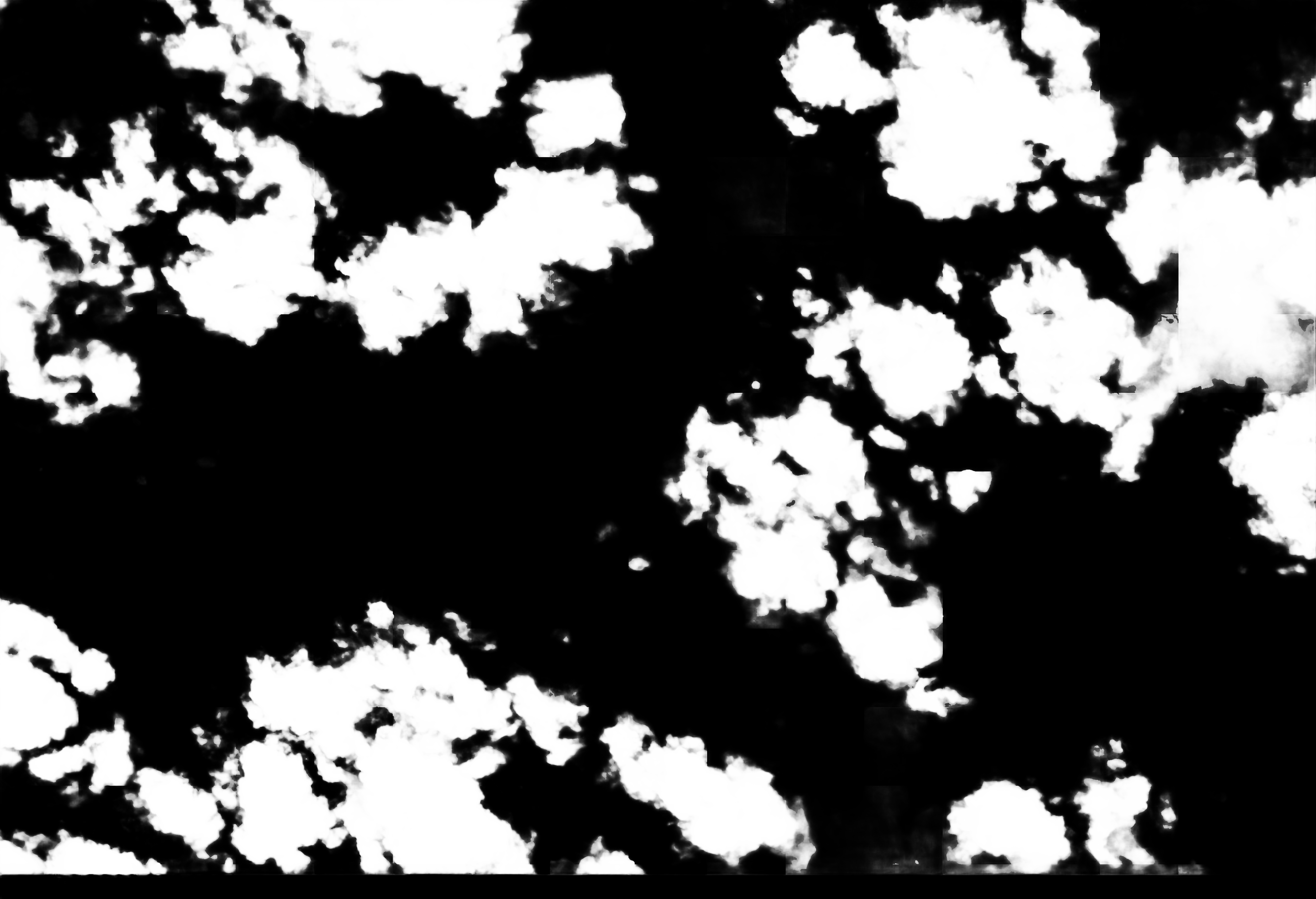 cloud mask image display 