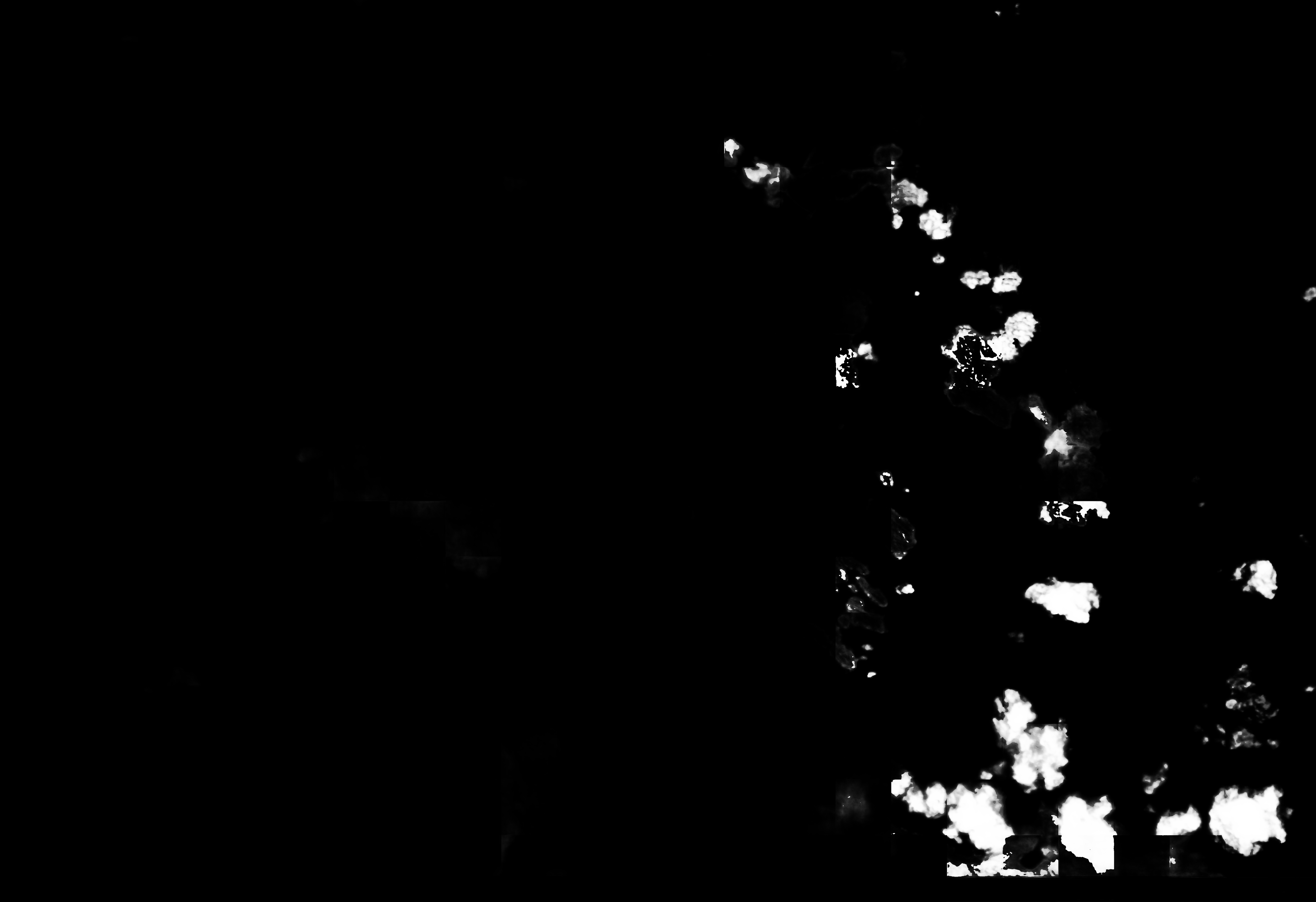 cloud mask image display 