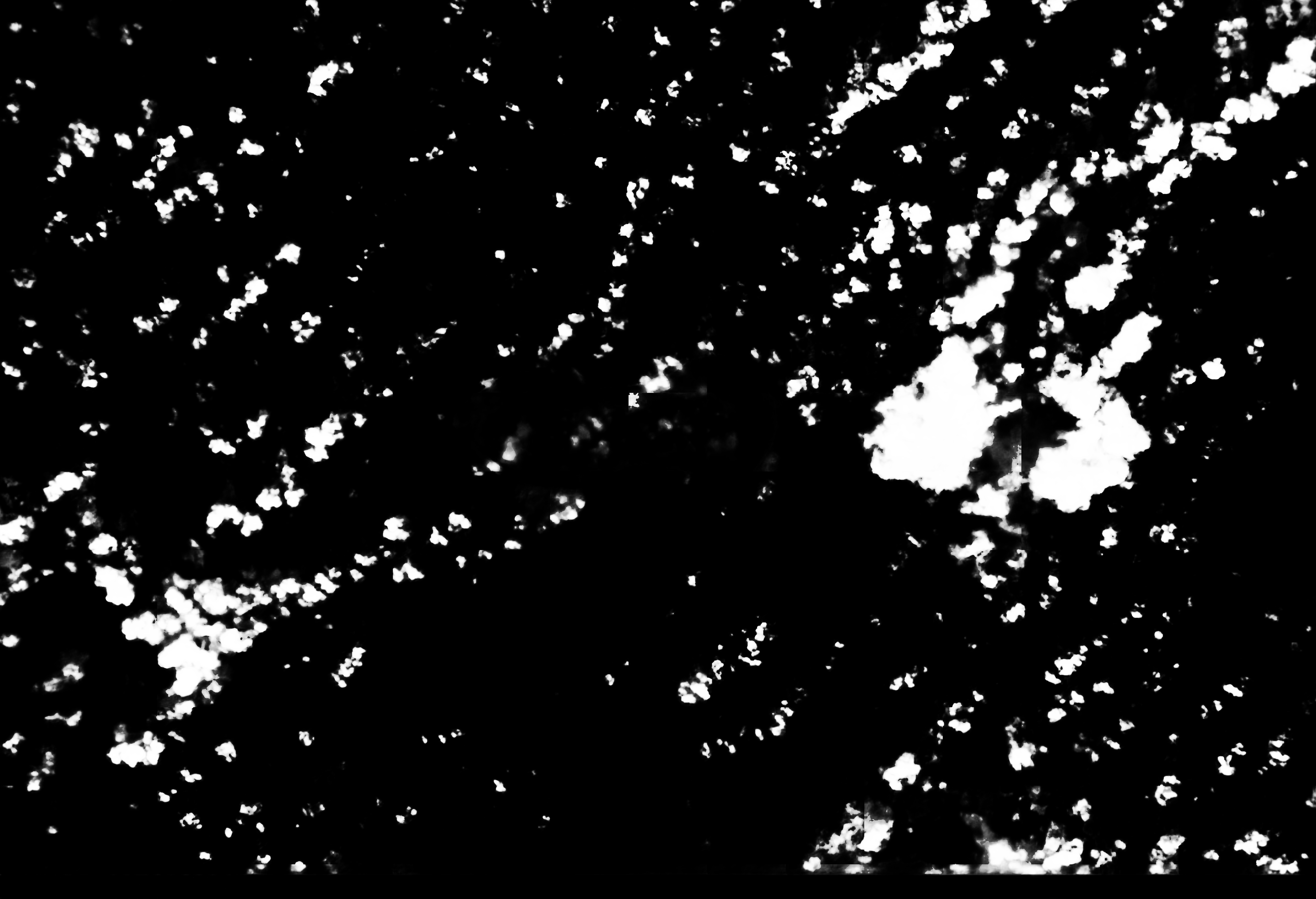 cloud mask image display 