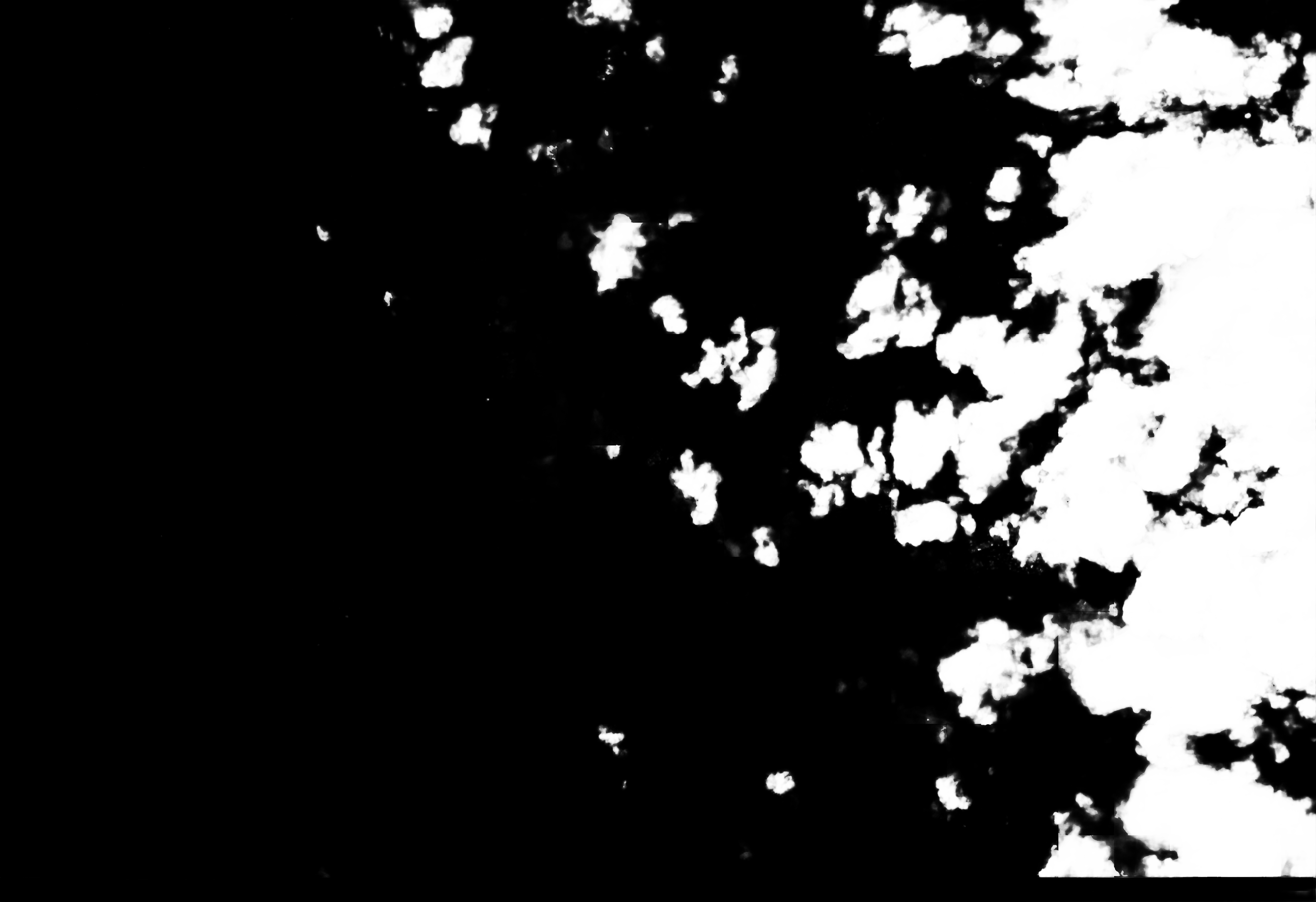 cloud mask image display 