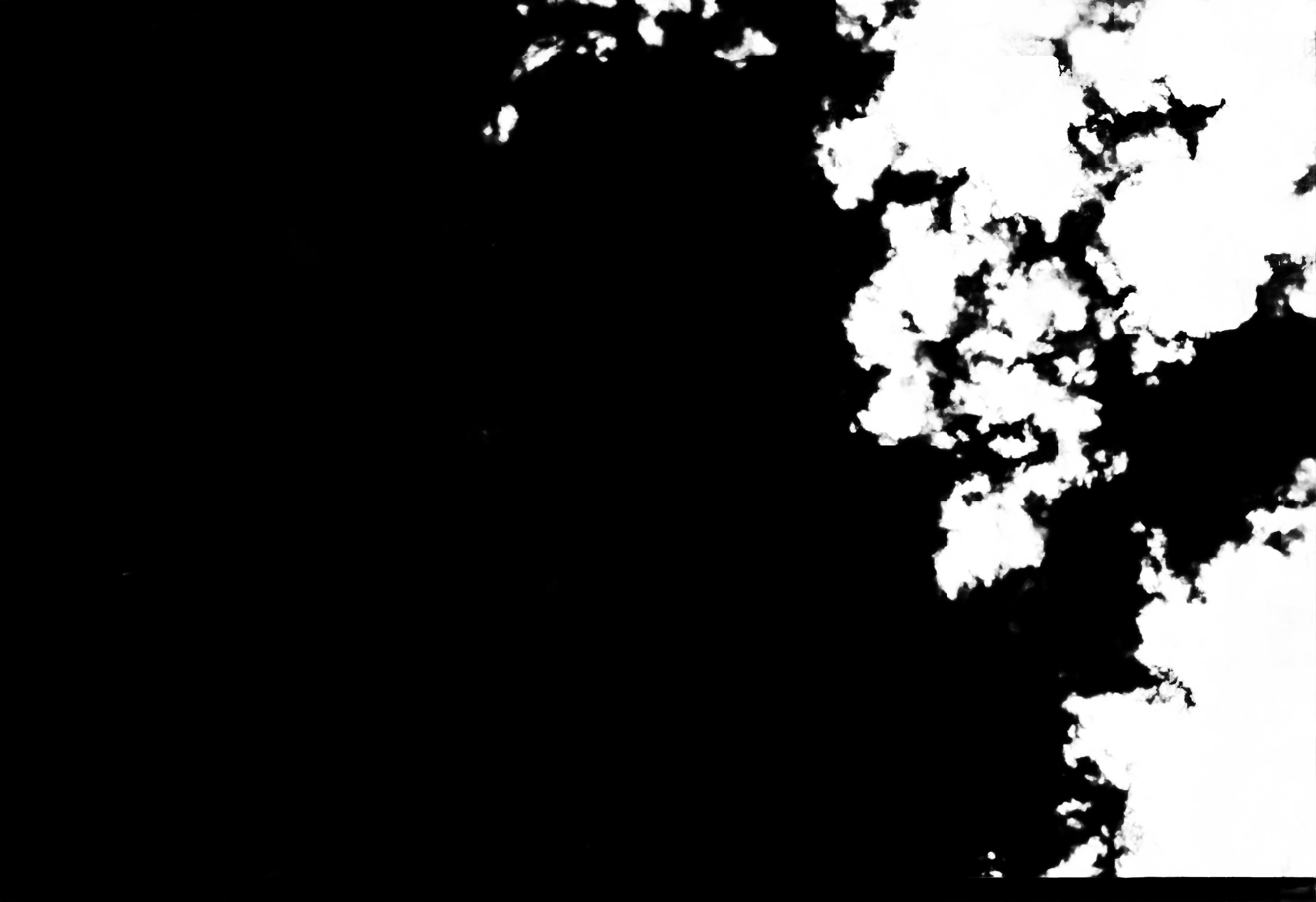 cloud mask image display 