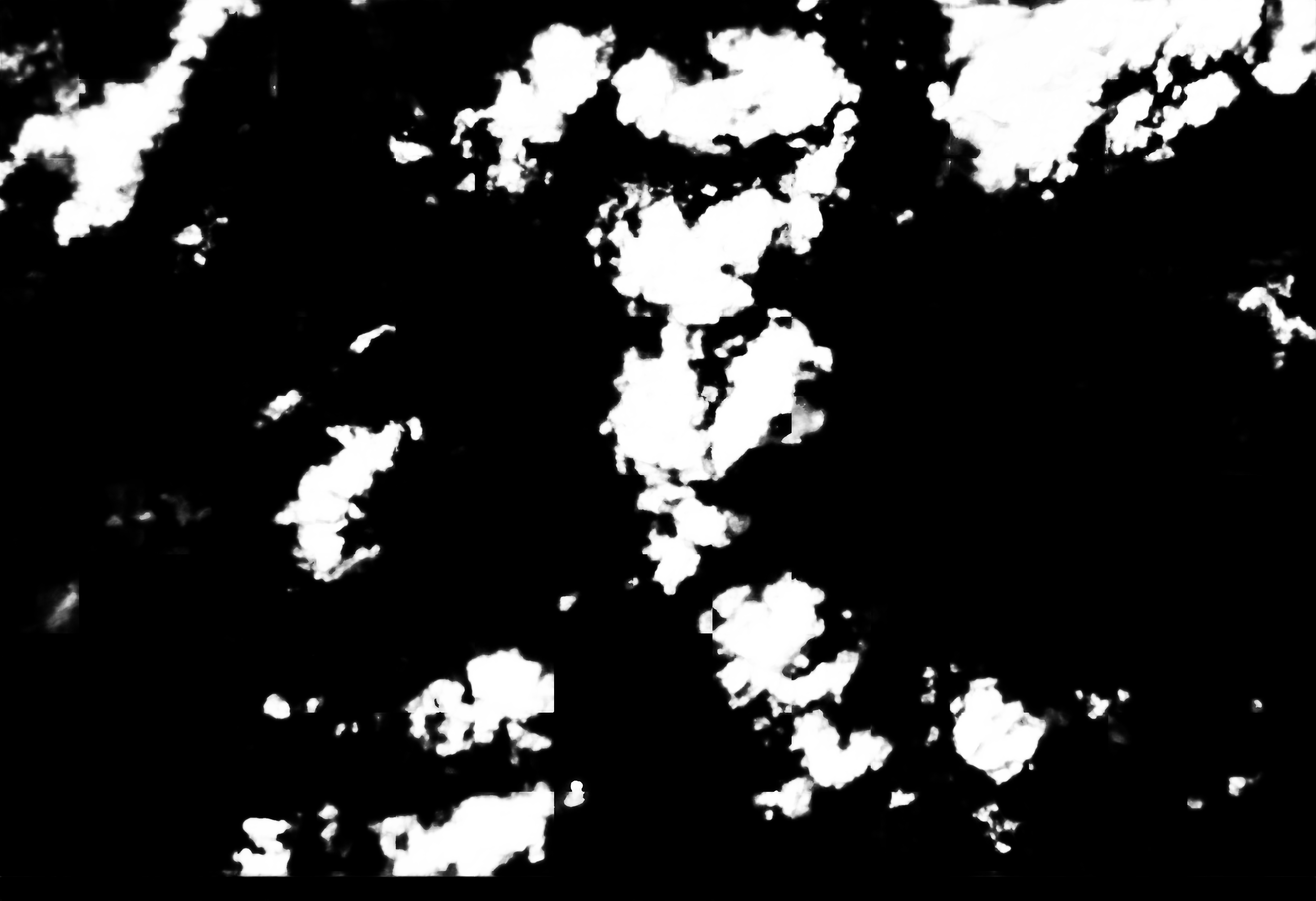 cloud mask image display 