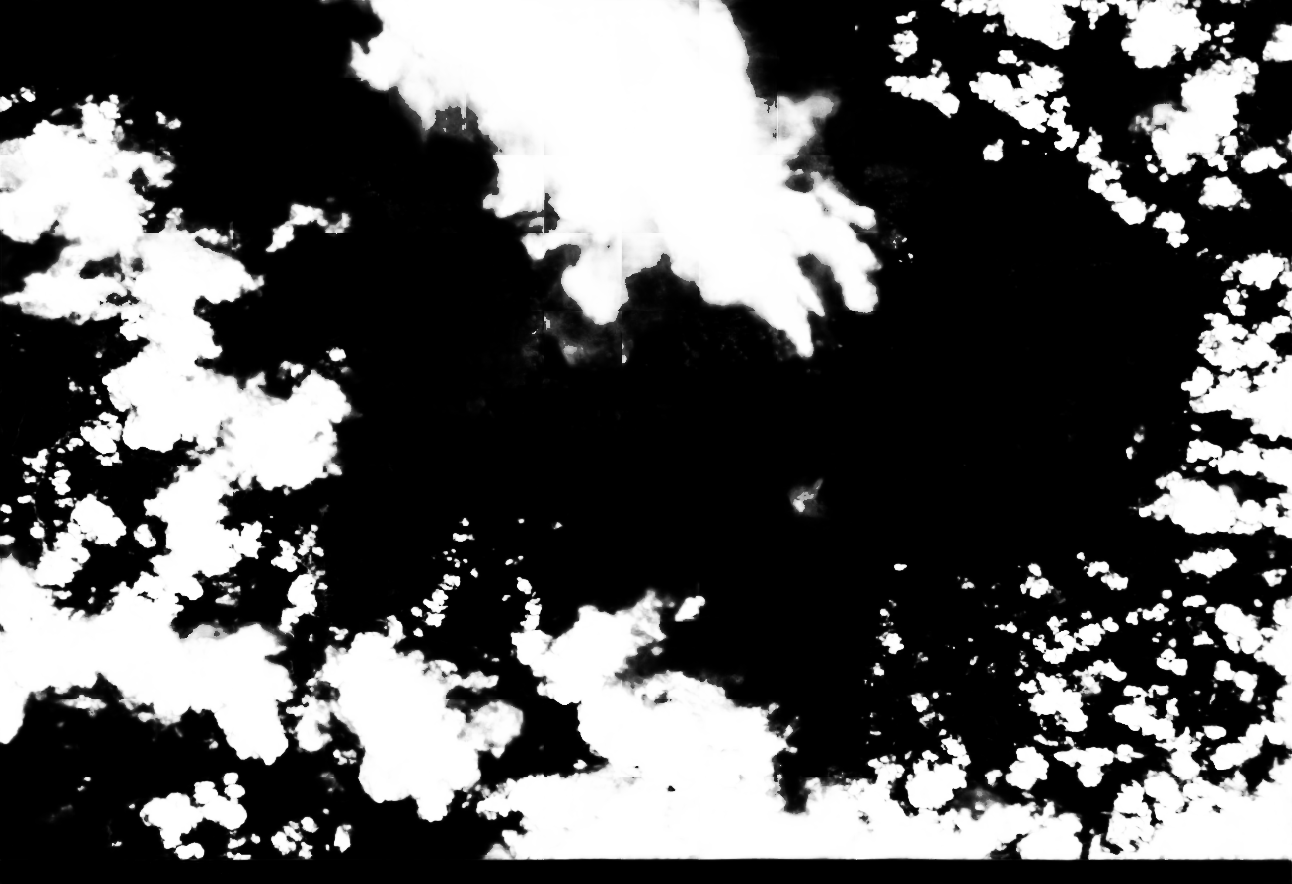 cloud mask image display 