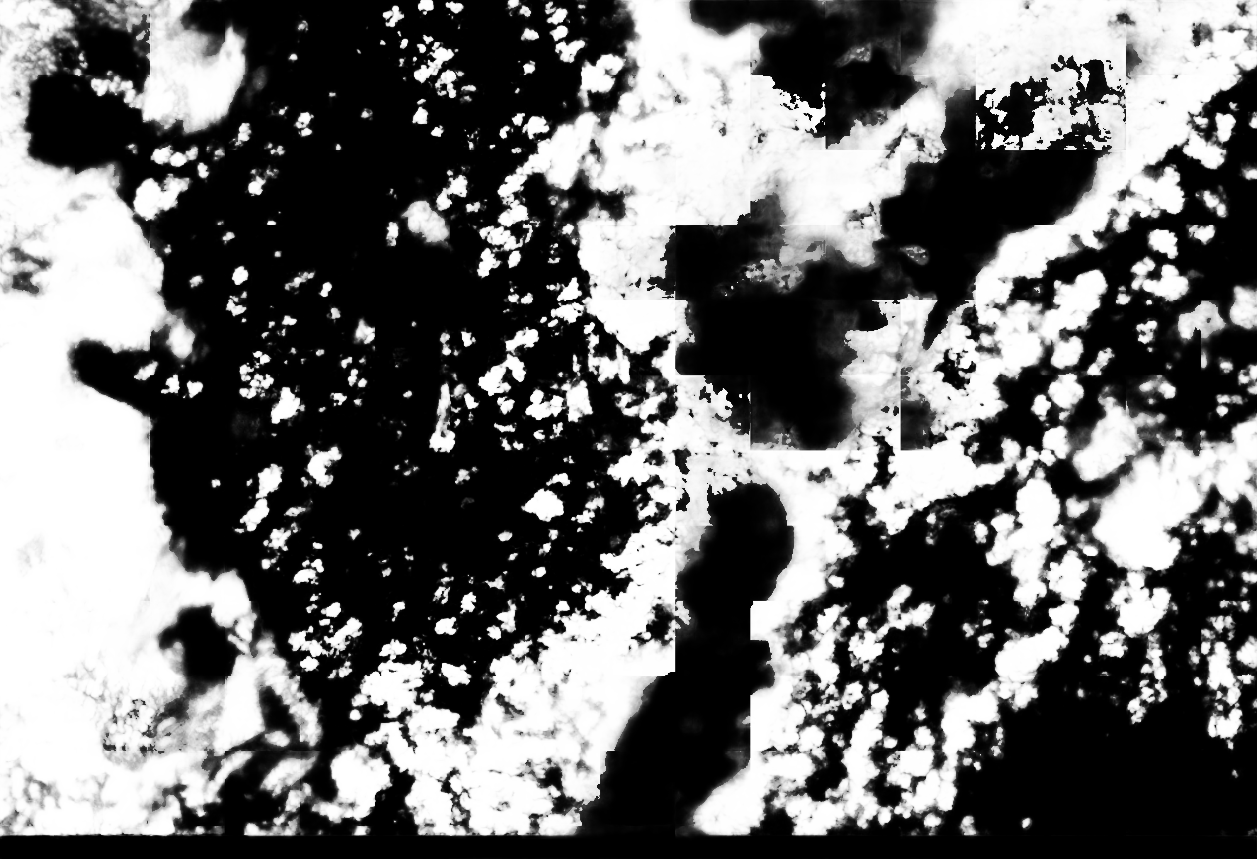 cloud mask image display 