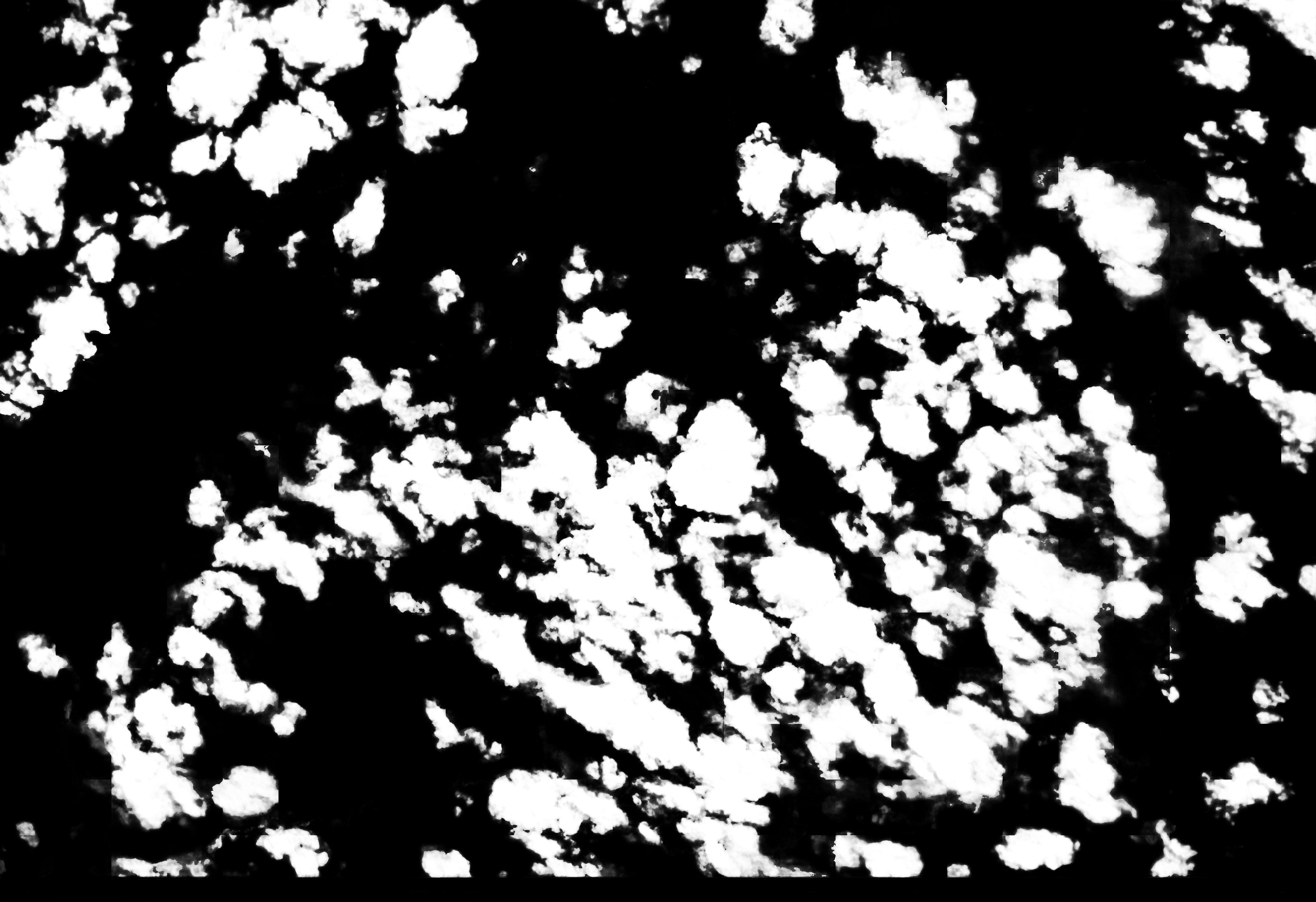 cloud mask image display 