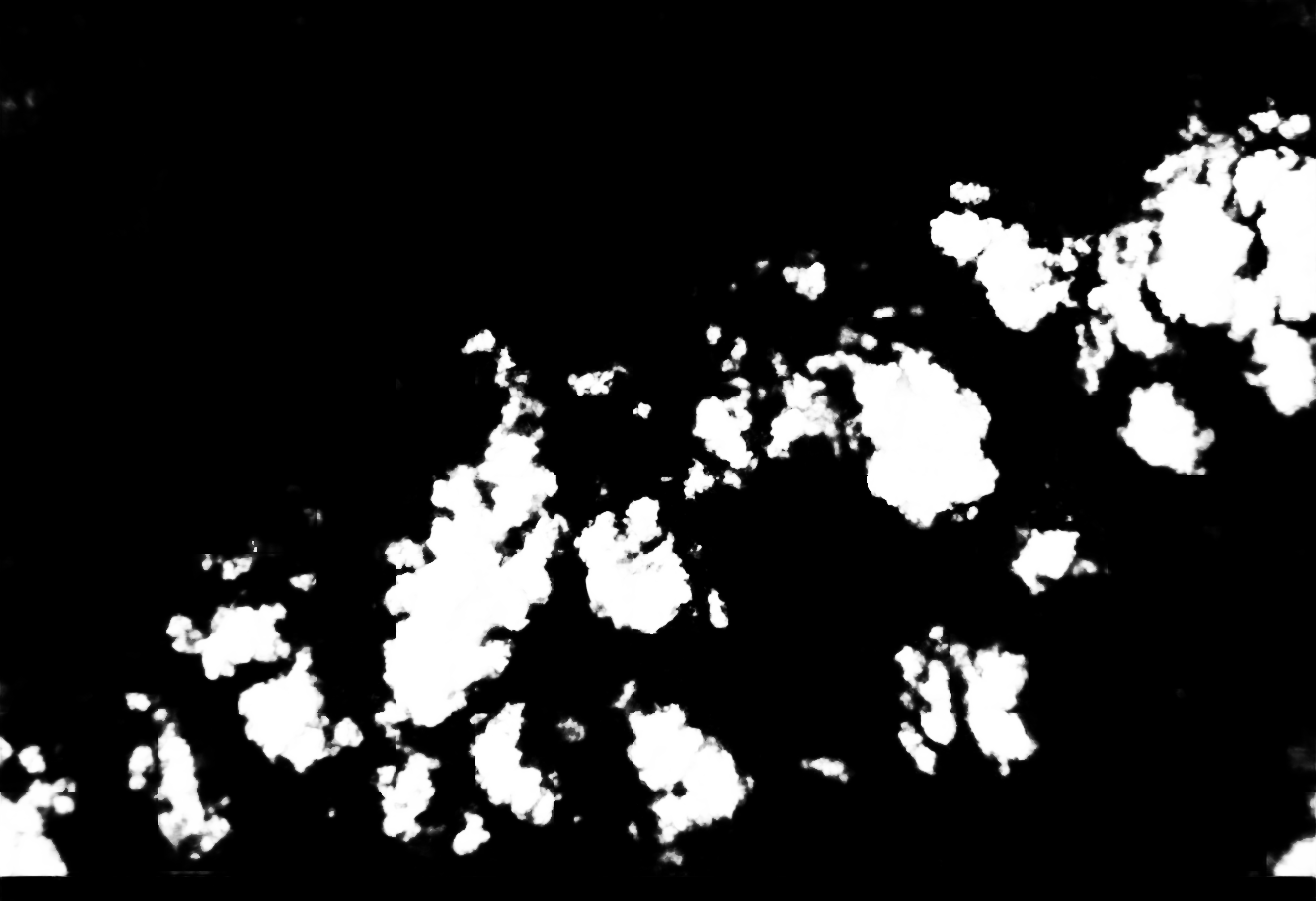 cloud mask image display 