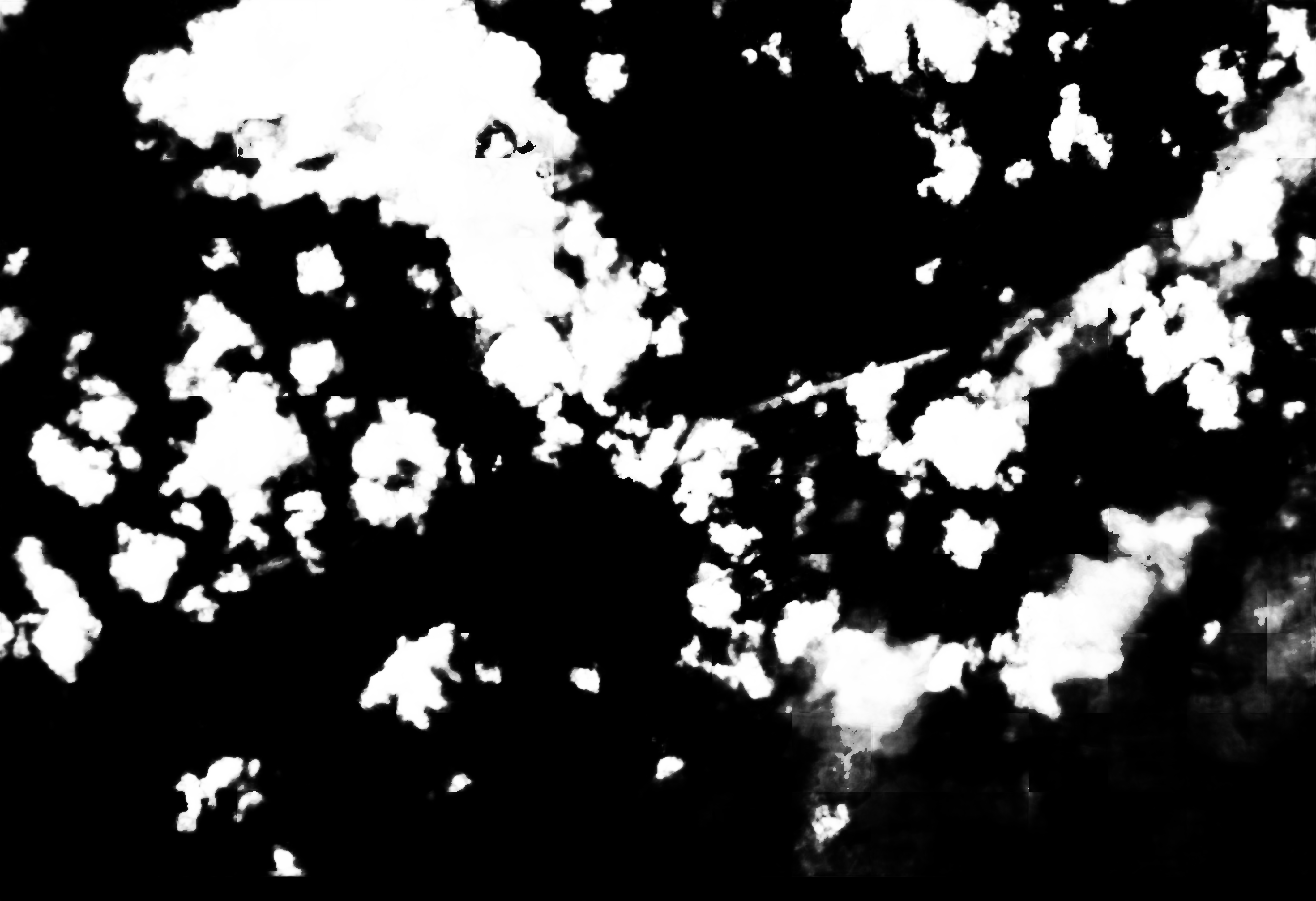 cloud mask image display 