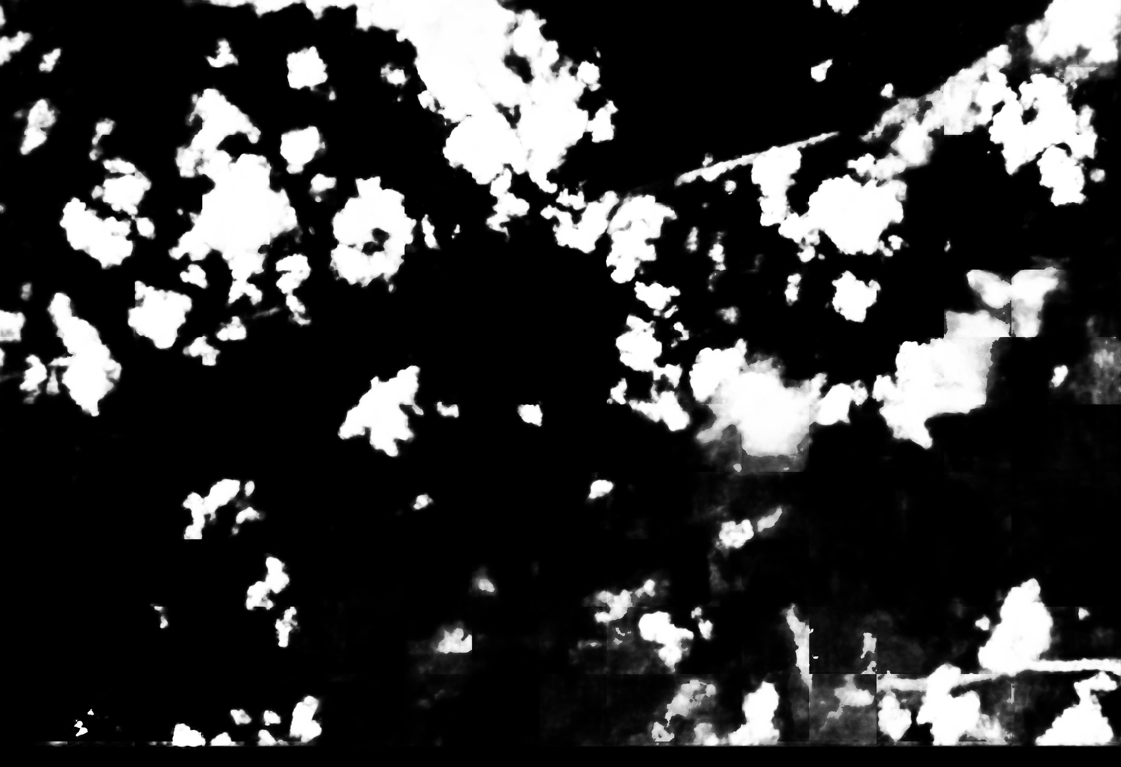 cloud mask image display 