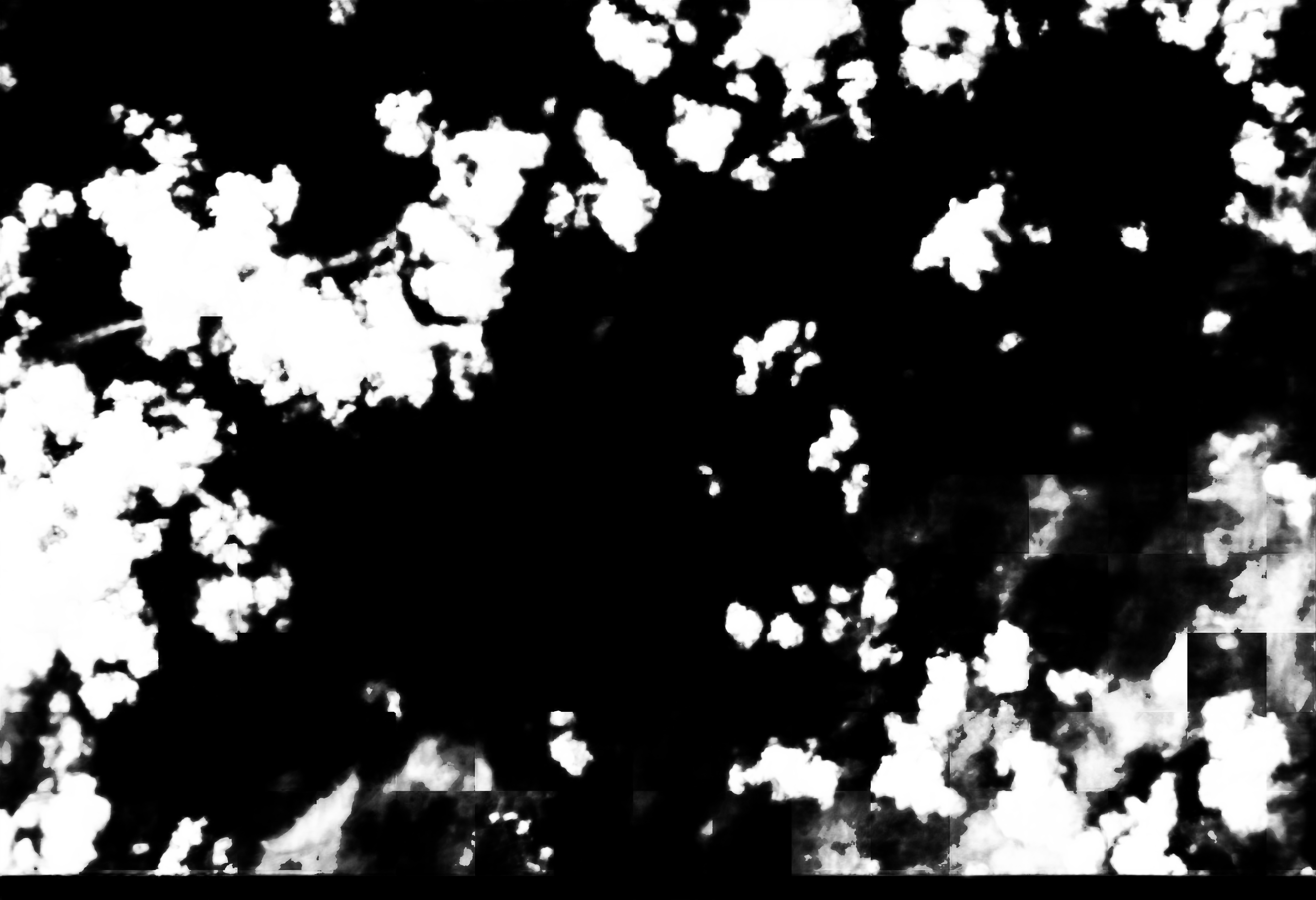 cloud mask image display 