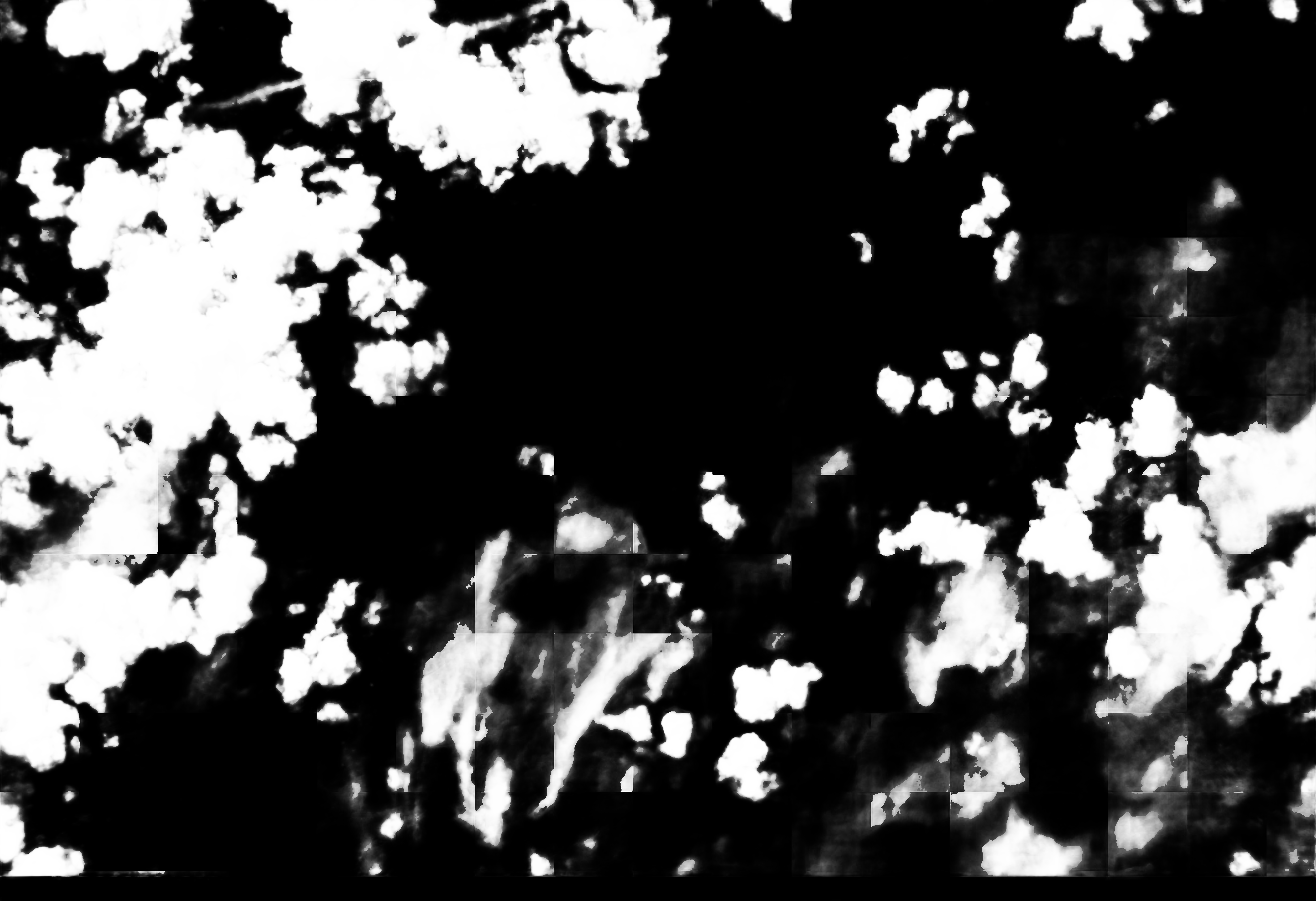 cloud mask image display 