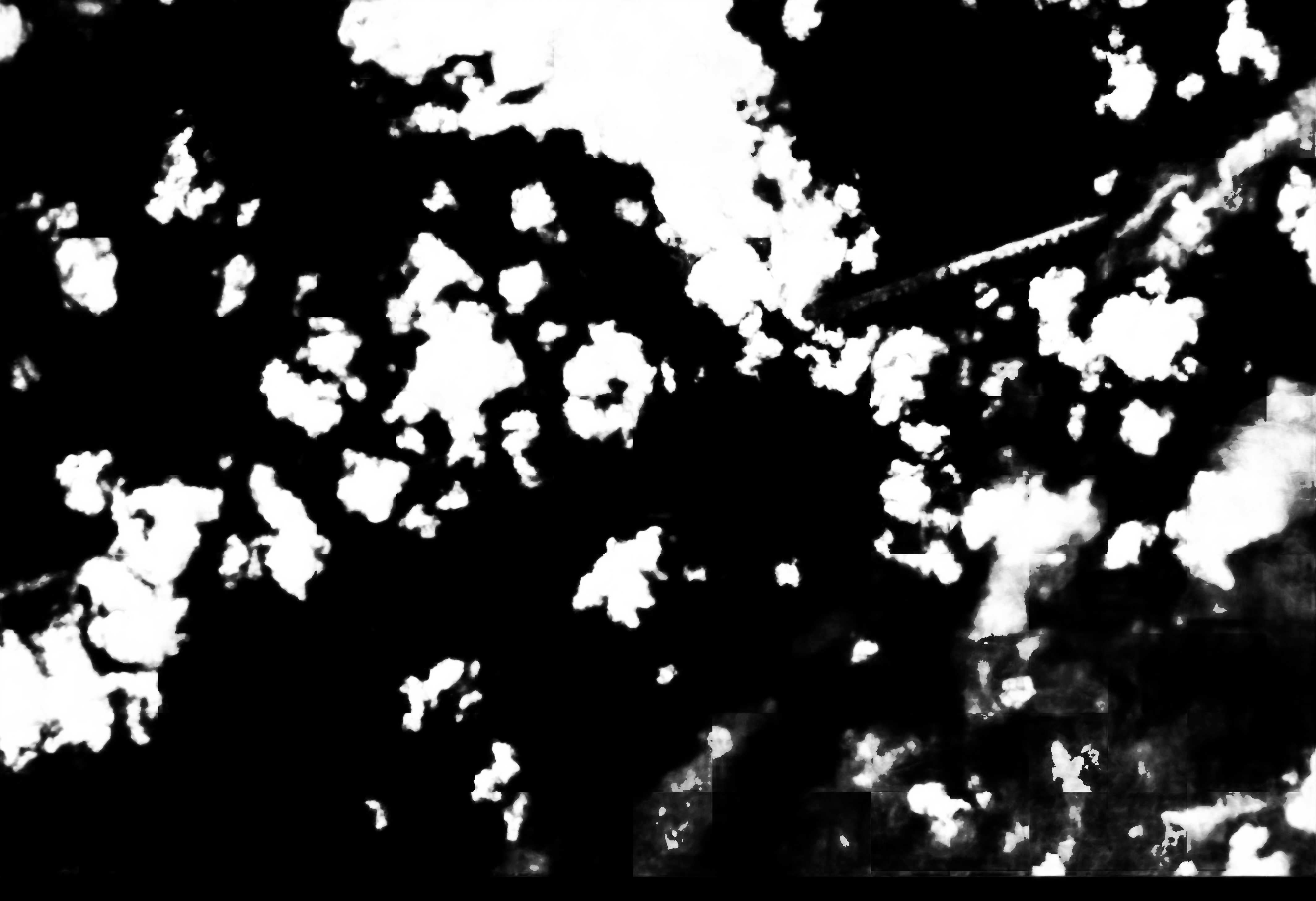 cloud mask image display 