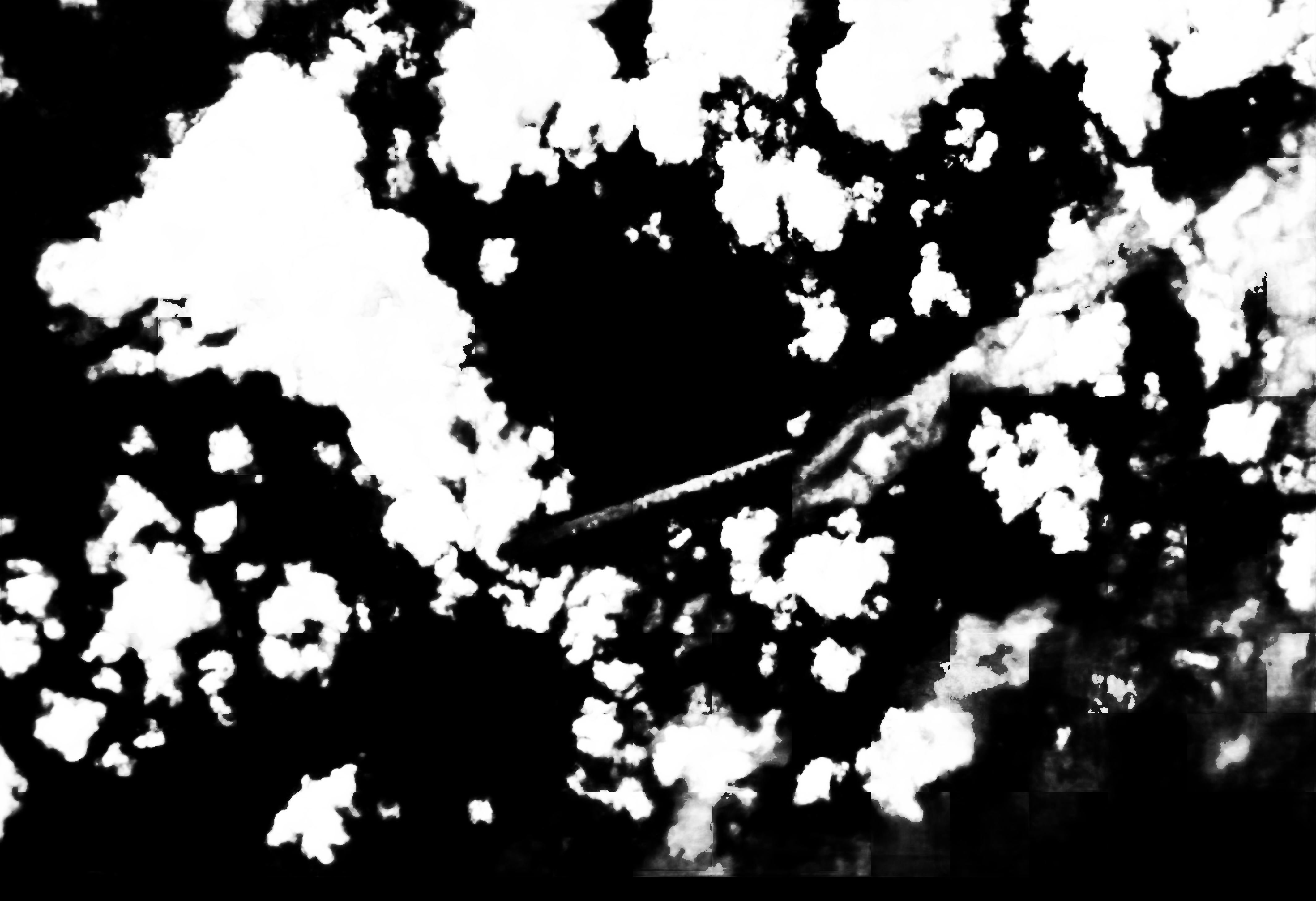 cloud mask image display 