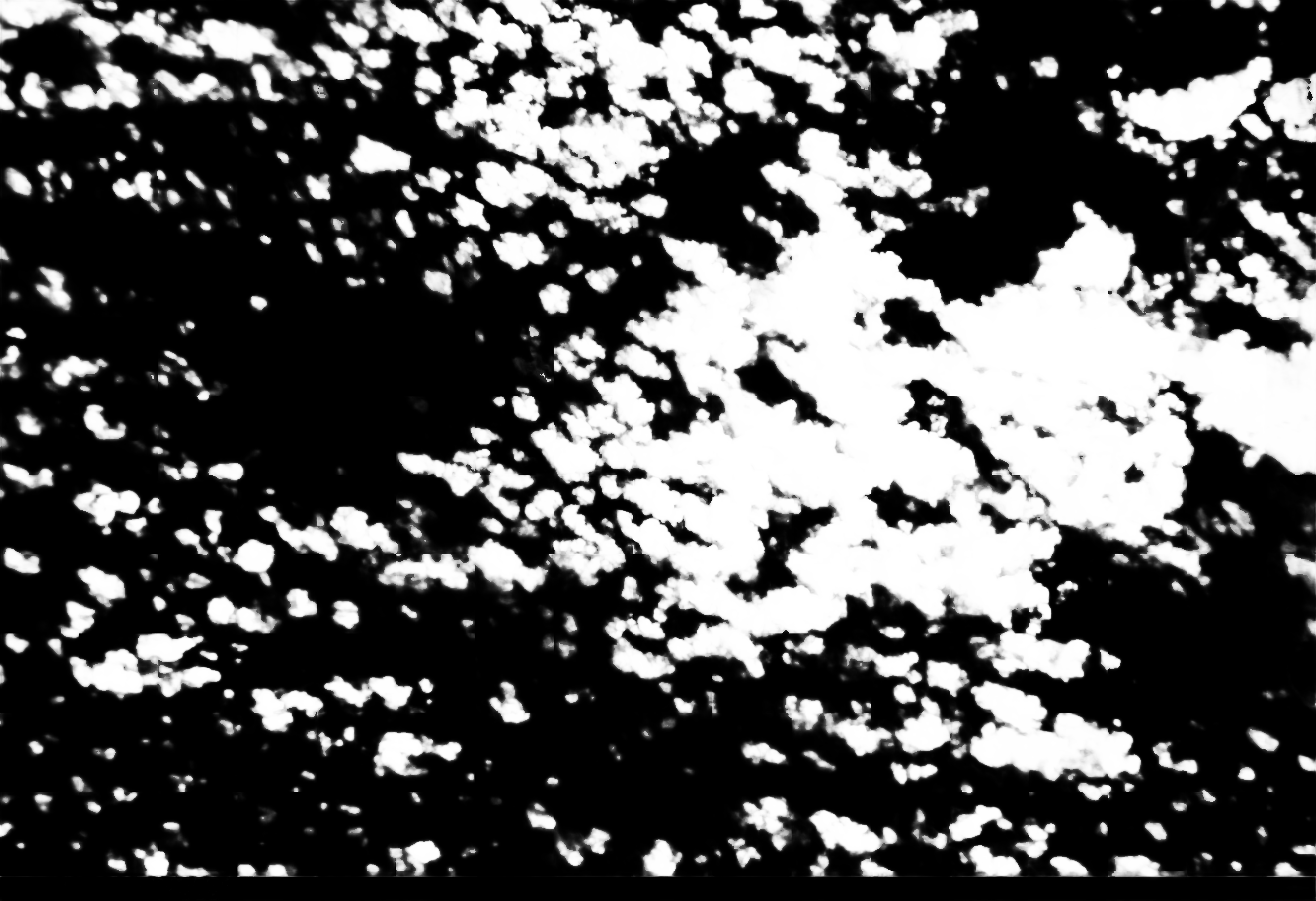 cloud mask image display 